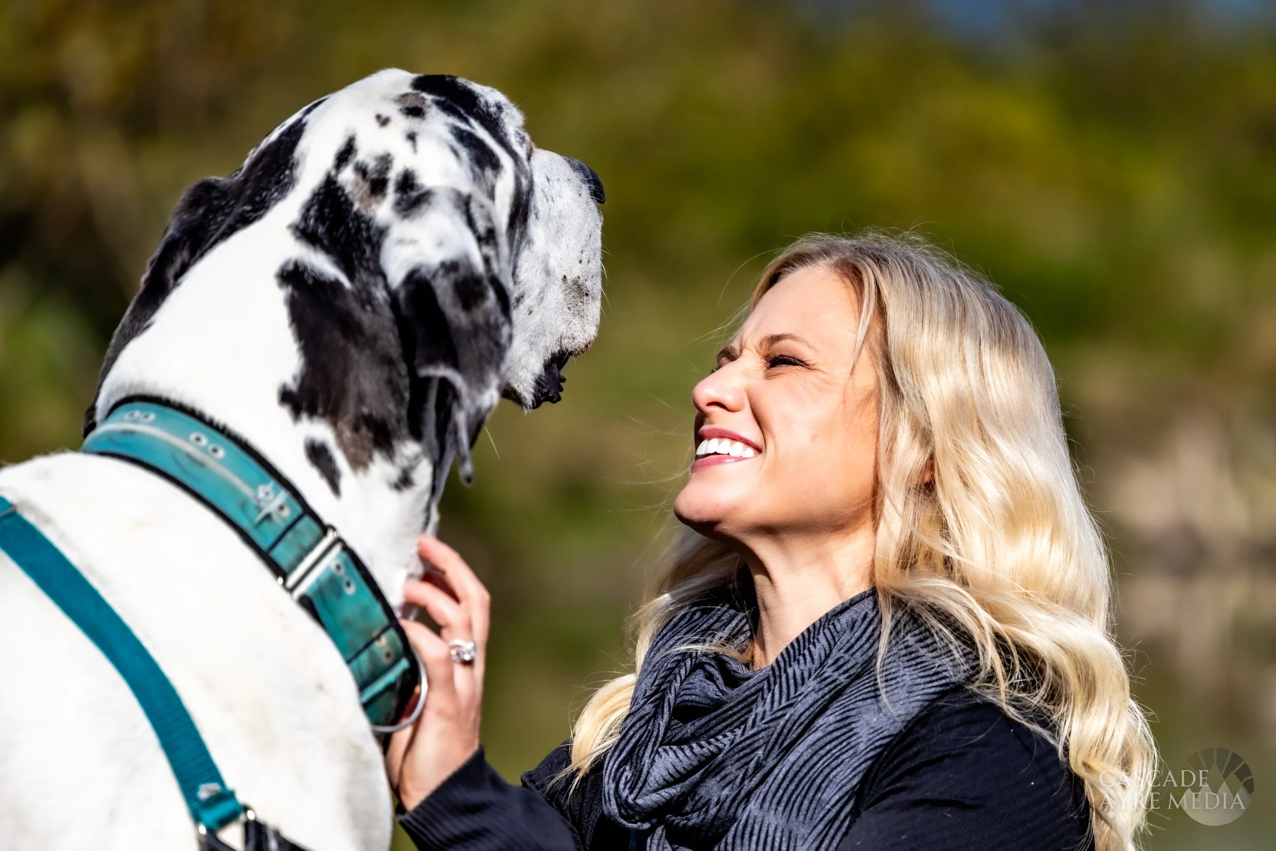 A woman smiling and looking at a large black and white Great Dane outdoors.