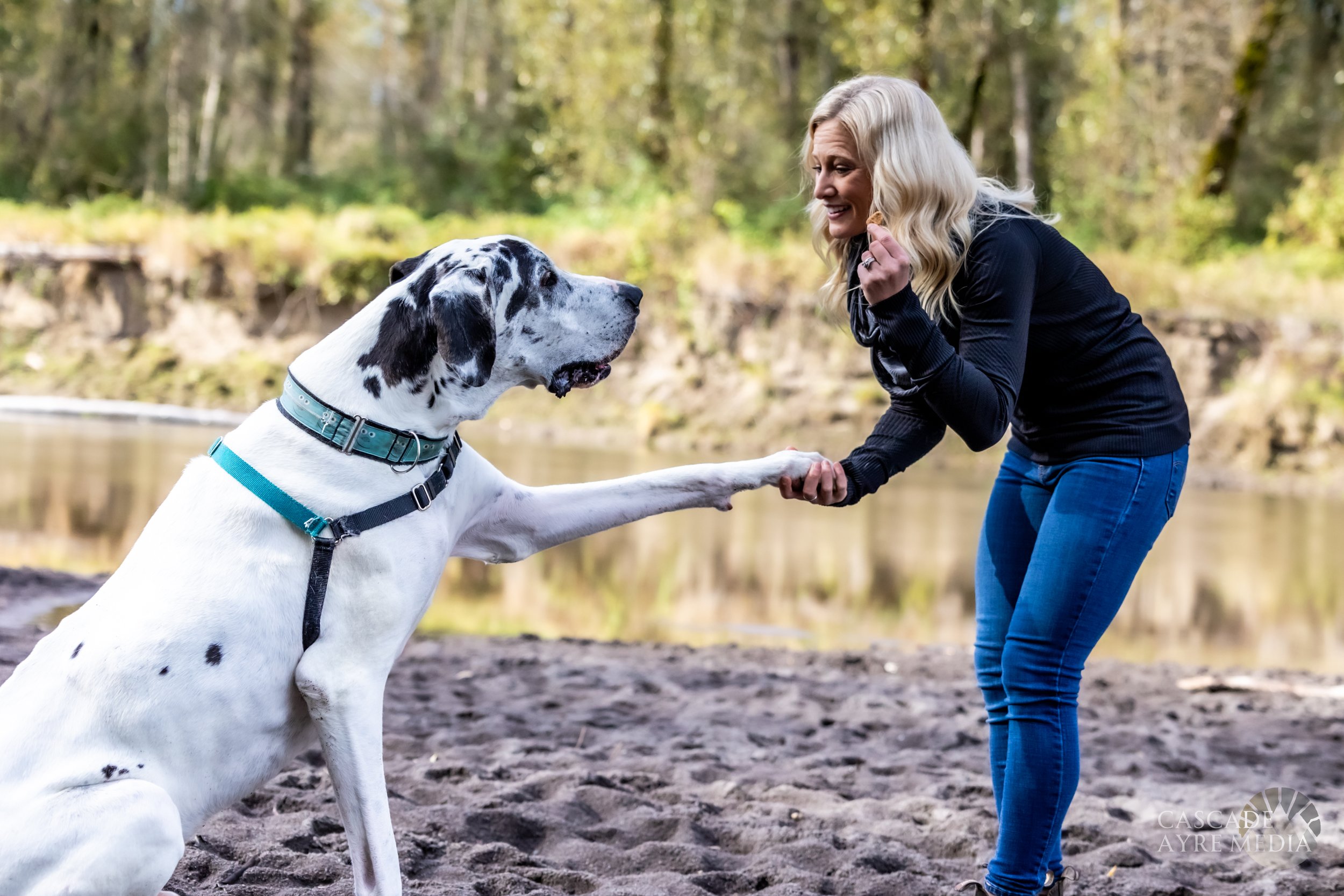A woman holds the paw of a large black and white Great Dane on a sandy area near a river, surrounded by trees.