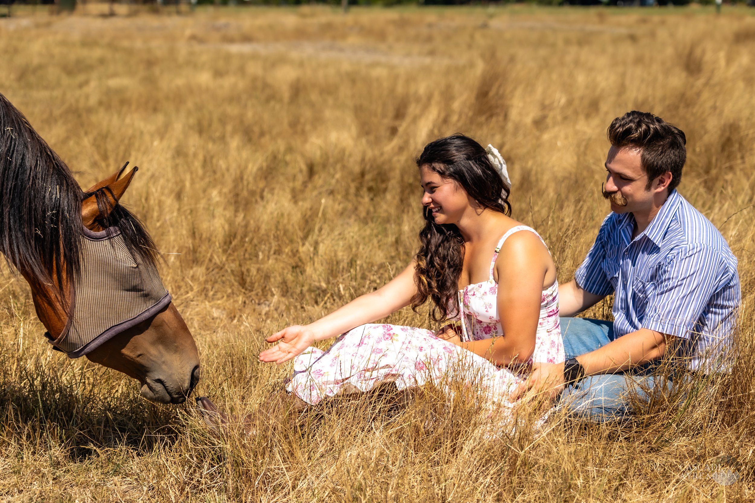 A couple sitting in a field with a masked horse nearby