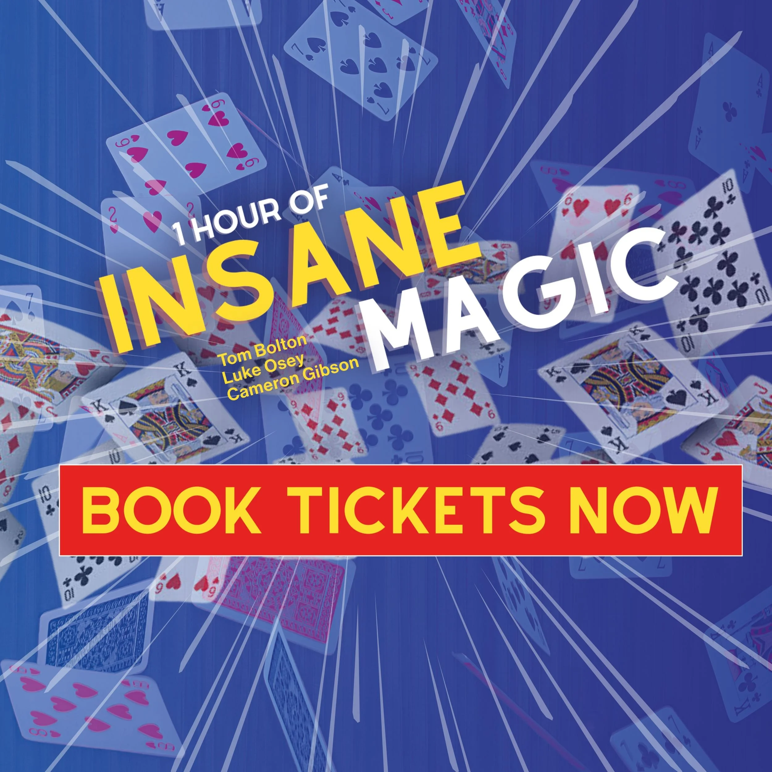 Show Tickets — Insane Productions