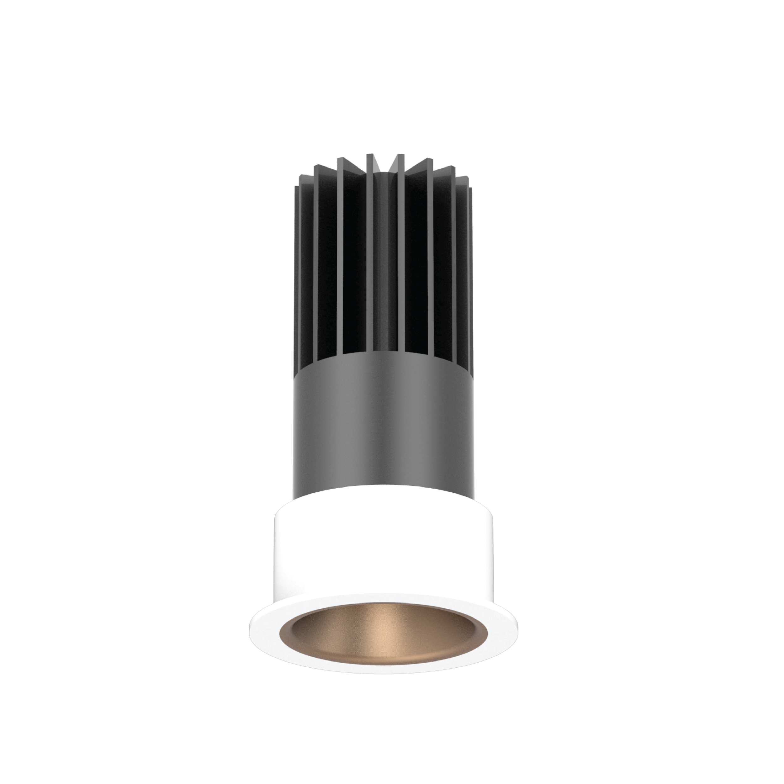 MickyPRO Recessed Fixed--matt gold.png