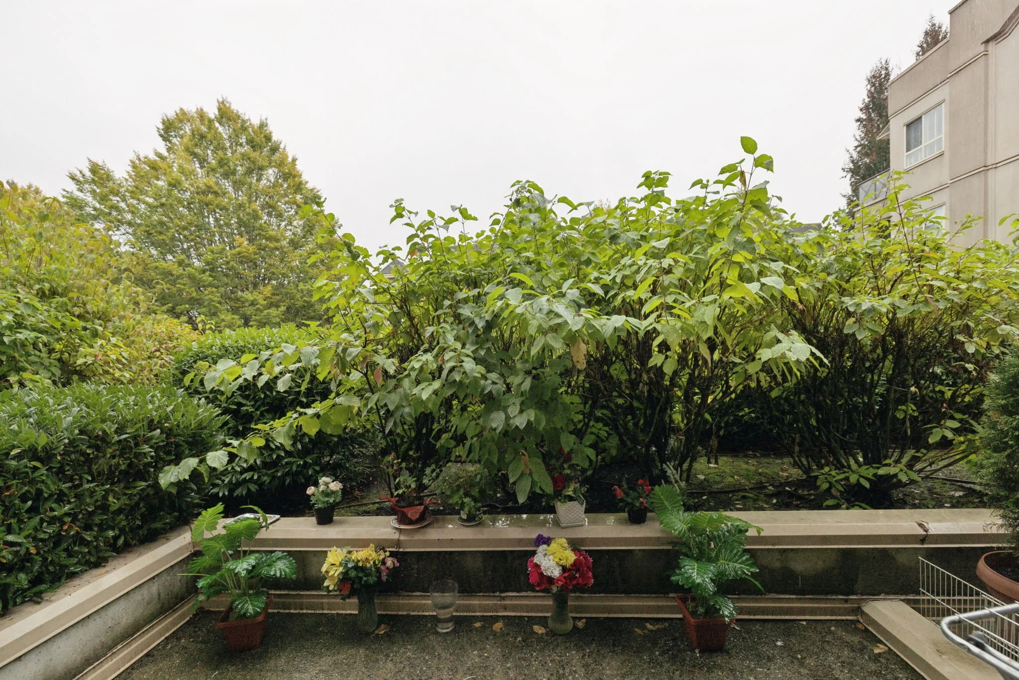 patio2.jpg