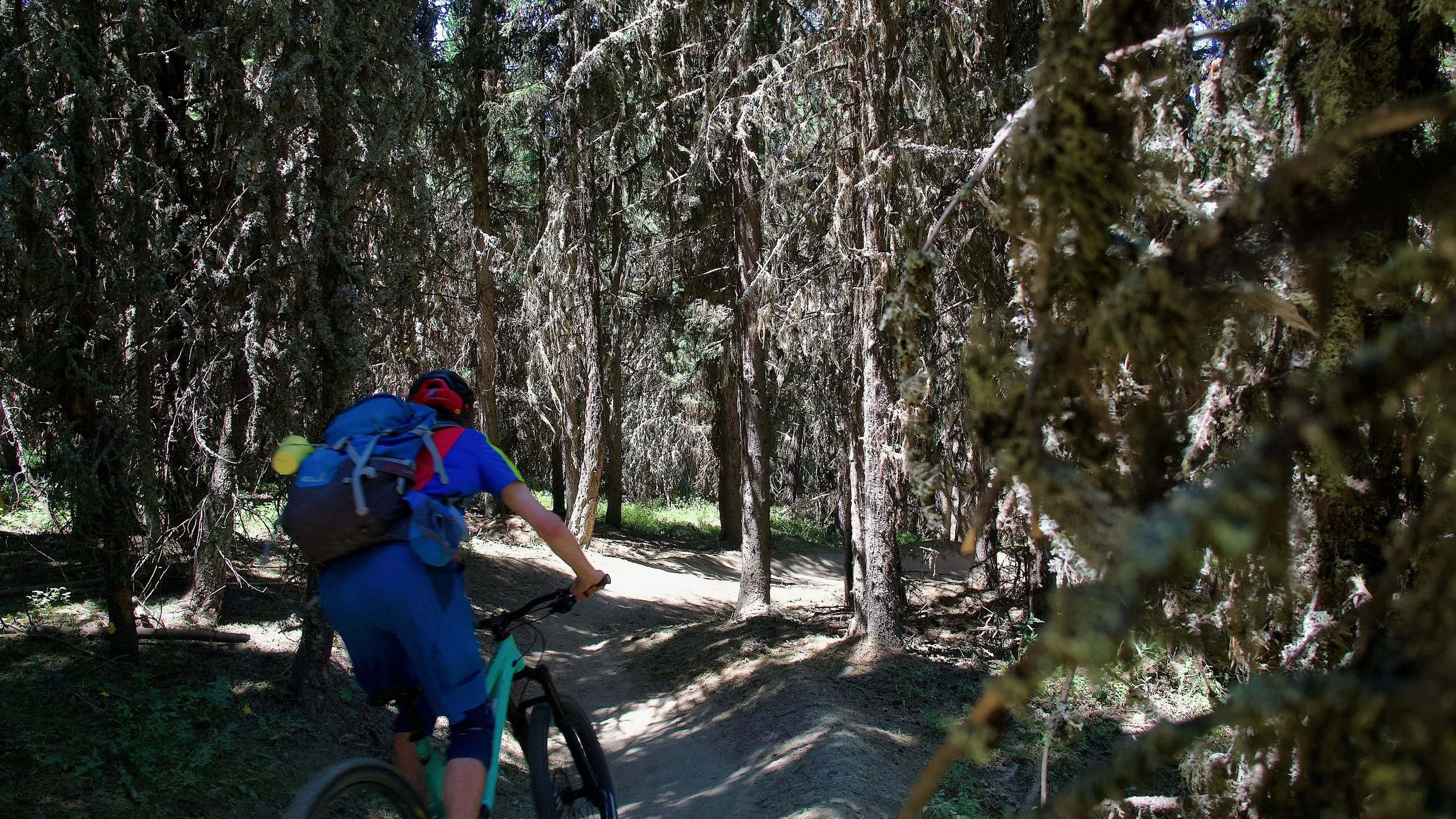 Väki keltainen Aosta pyörä repussa 16_9.jpeg