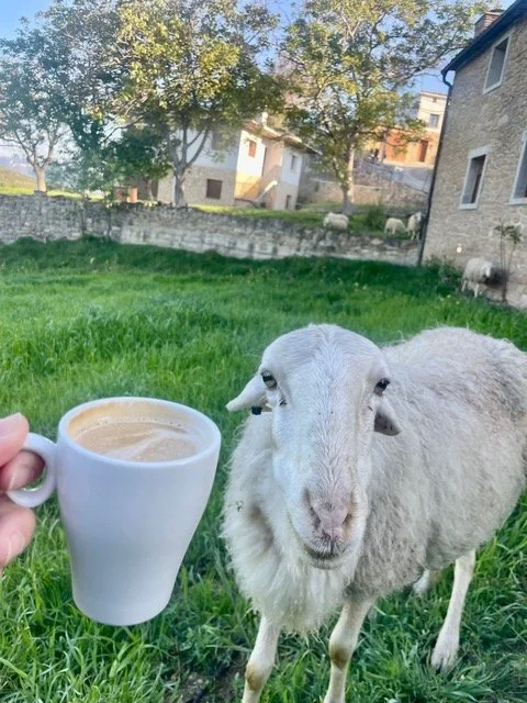 PHOTO-2025-06-23-16-33-46 3.jpeg