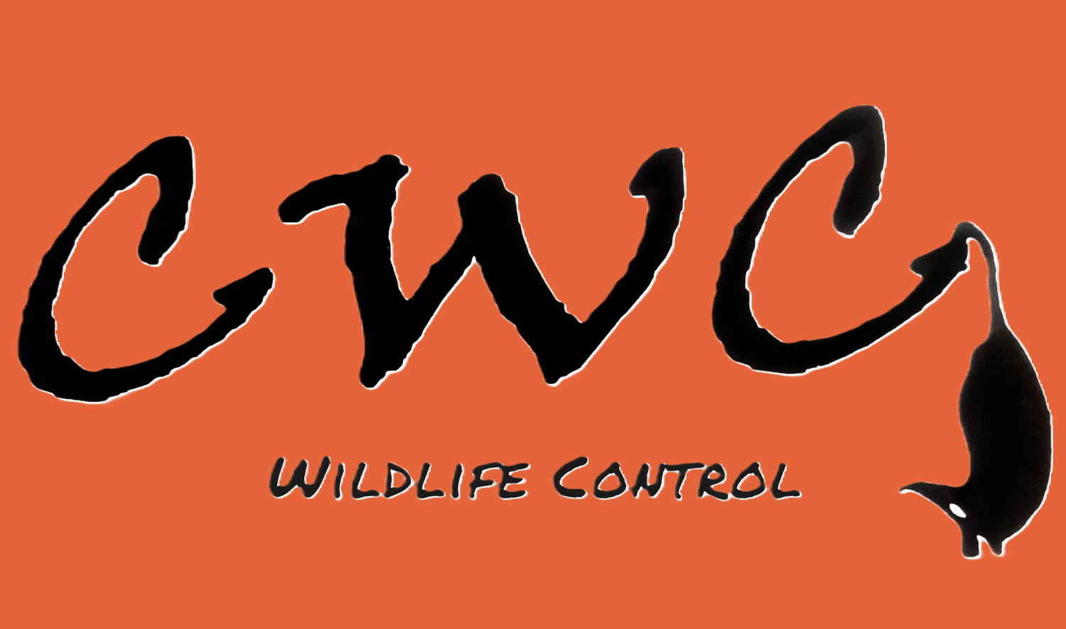 Cajun Wildlife Control