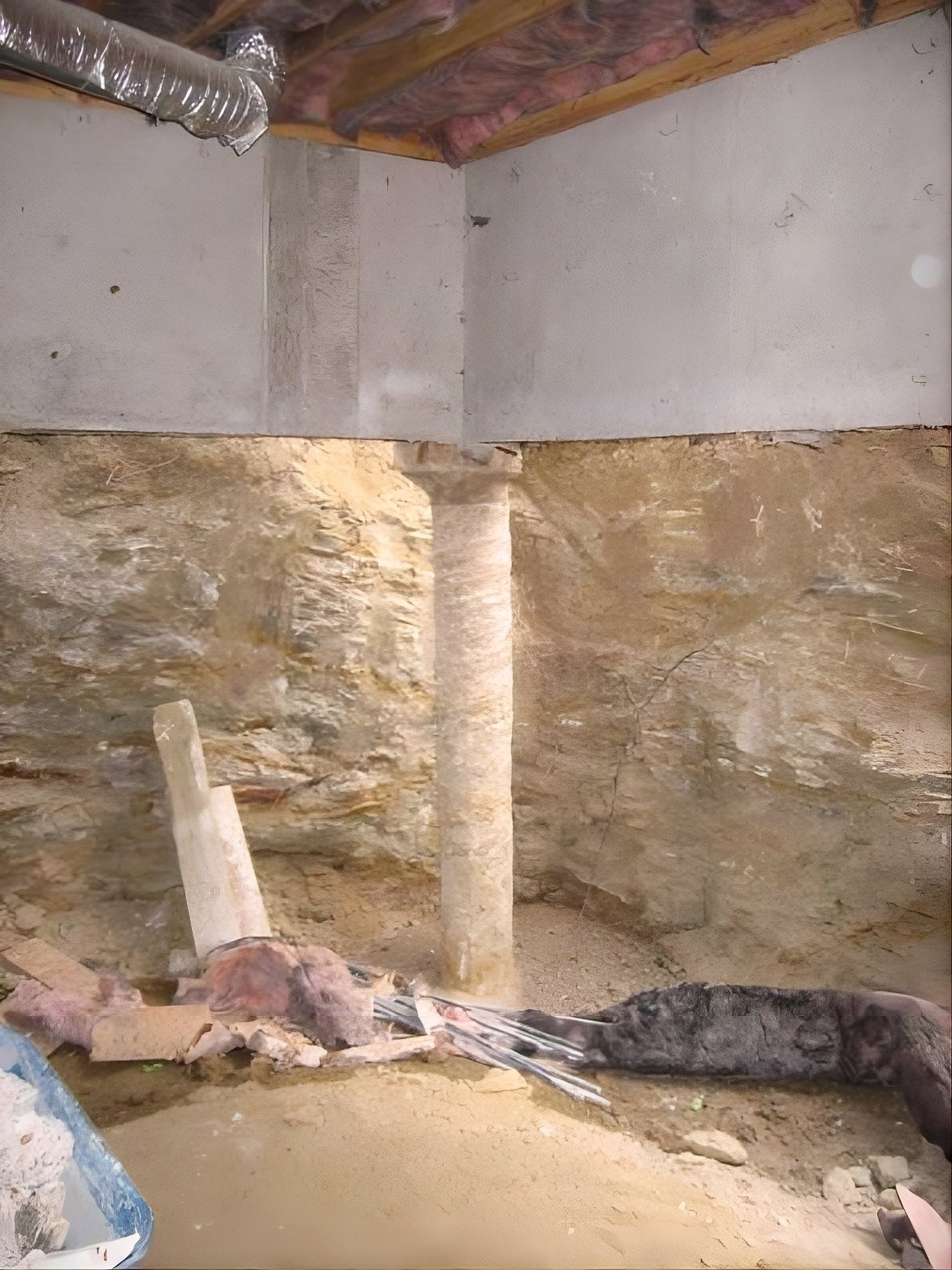 Crawl Space to Basement - Lone Tree (27).jpeg