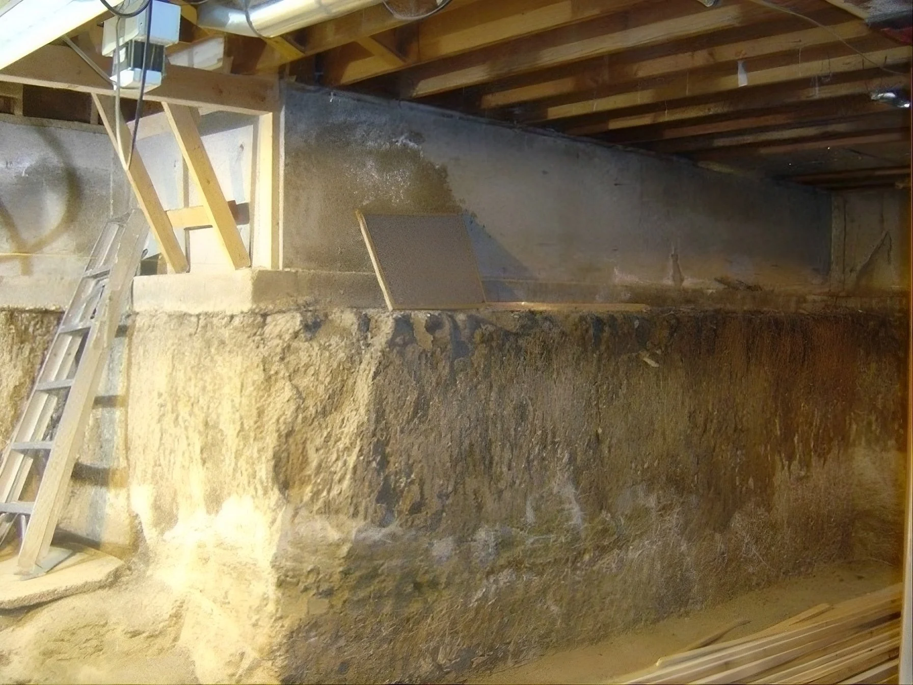 Crawlspace to Basement - Denver - Clay St (18).jpeg