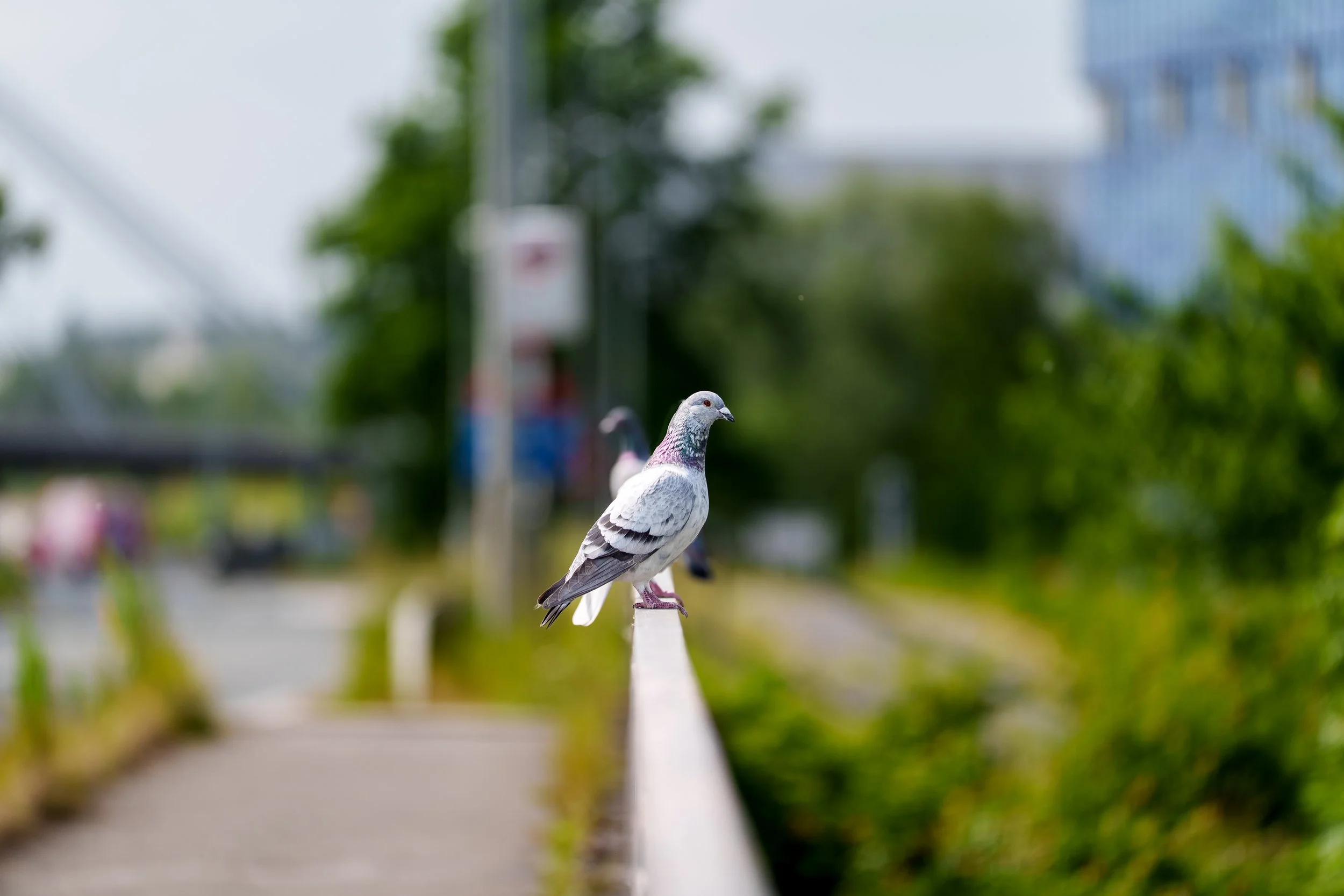 (c) Thomas Van Caeneghem_FACELESS (1 van 1)-2.jpg