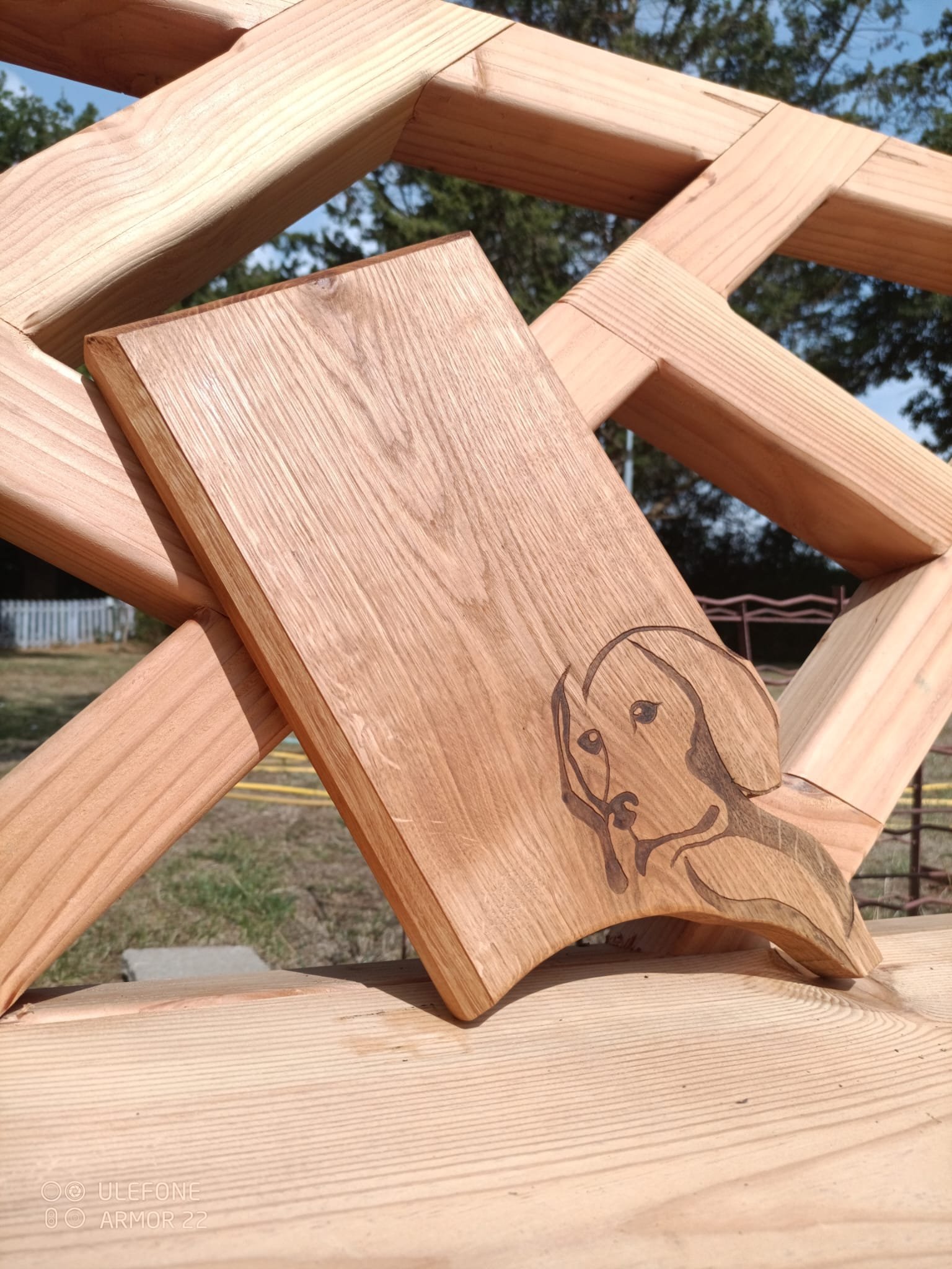 d4d5c7dd-99b0-4847-9a8d-23b67b4524b7.jfif