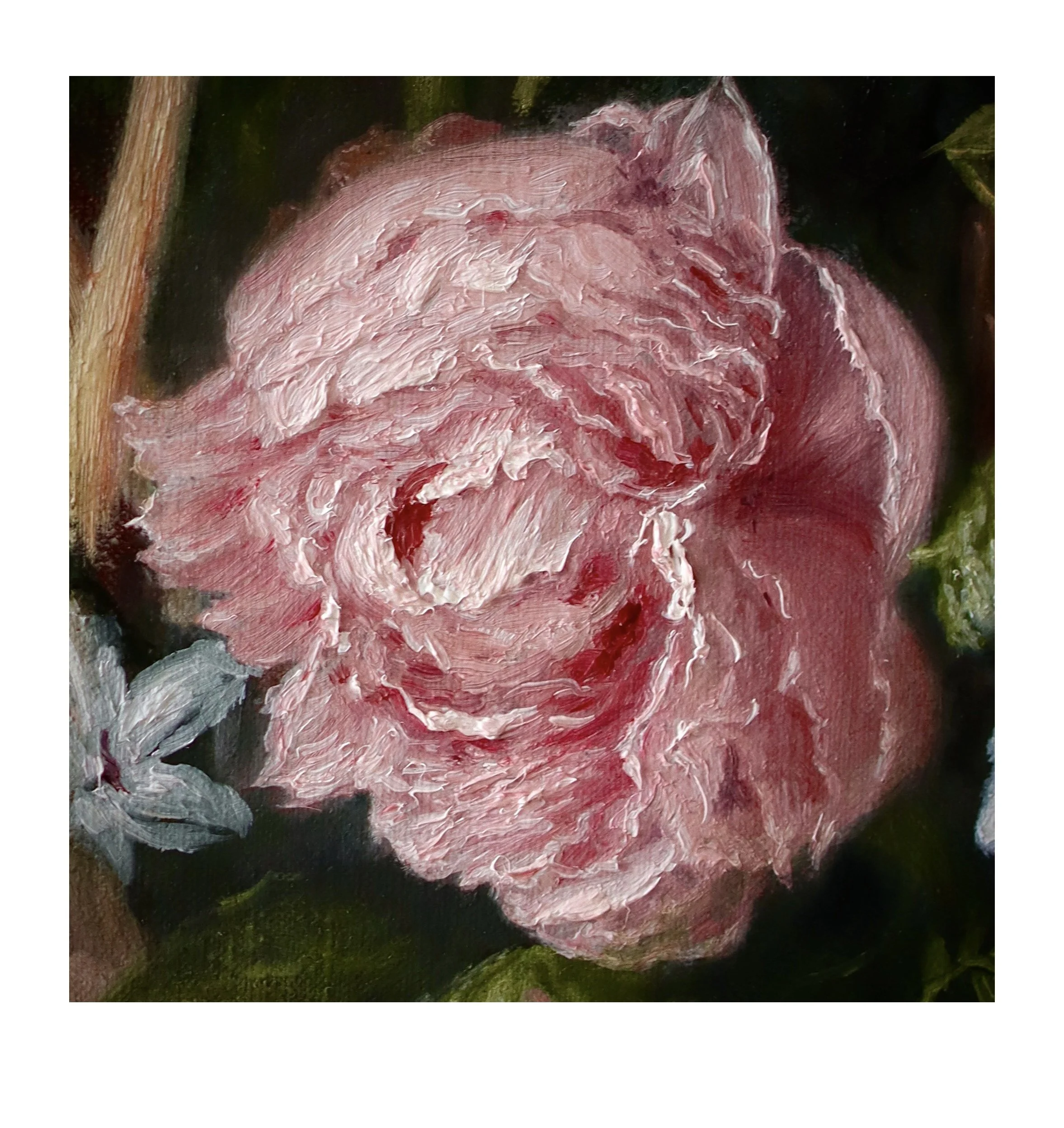 image7.jpeg