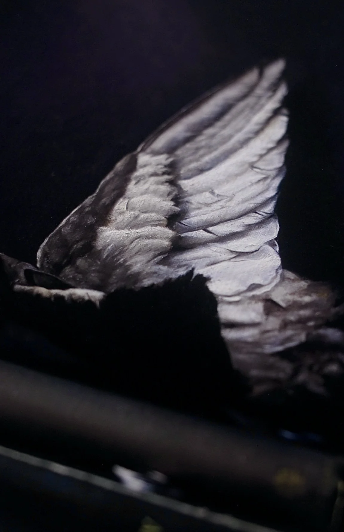 image5.jpeg