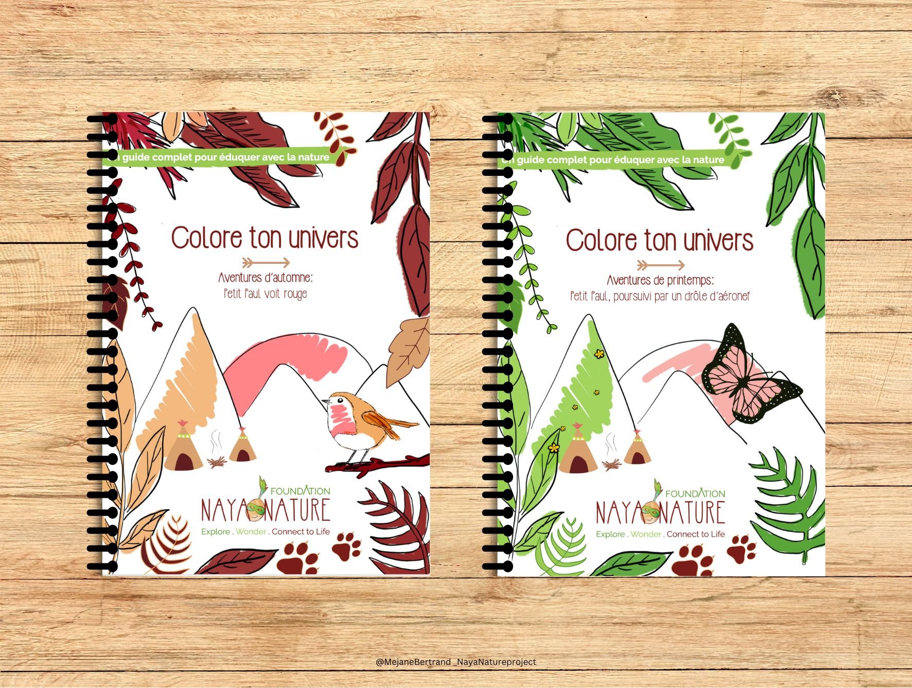 NAYA NATURE CATALOGUE PEDAGOGIQUE17.jpg