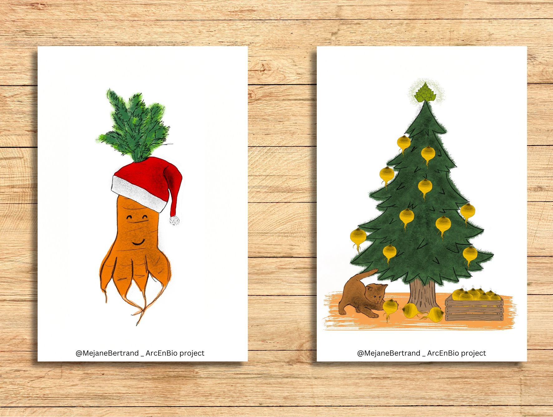 ARC EN BIO LEGUMES ILLUSTRATIONNAYA NATURE CATALOGUE PEDAGOGIQUE34.jpg