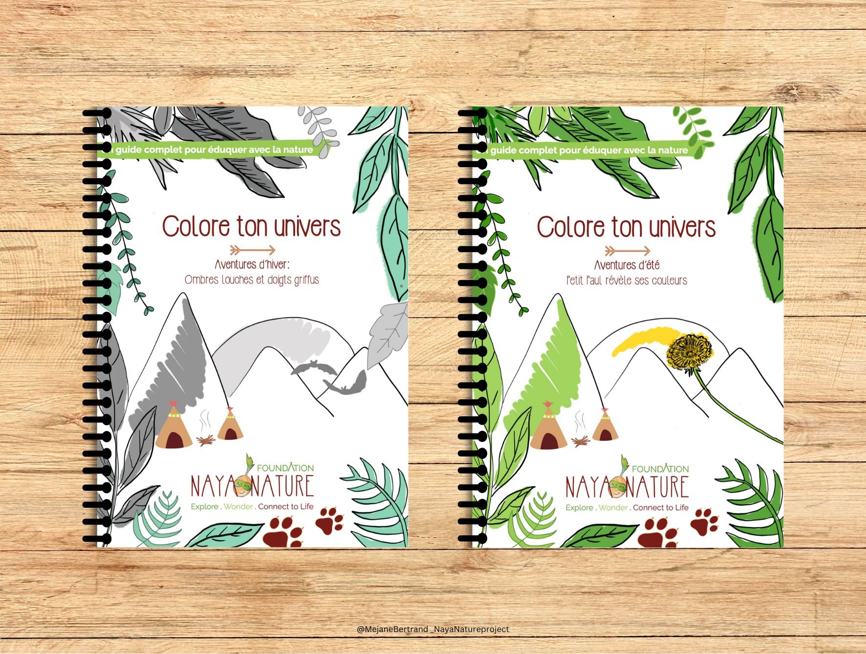 NAYA NATURE CATALOGUE PEDAGOGIQUE16.jpg