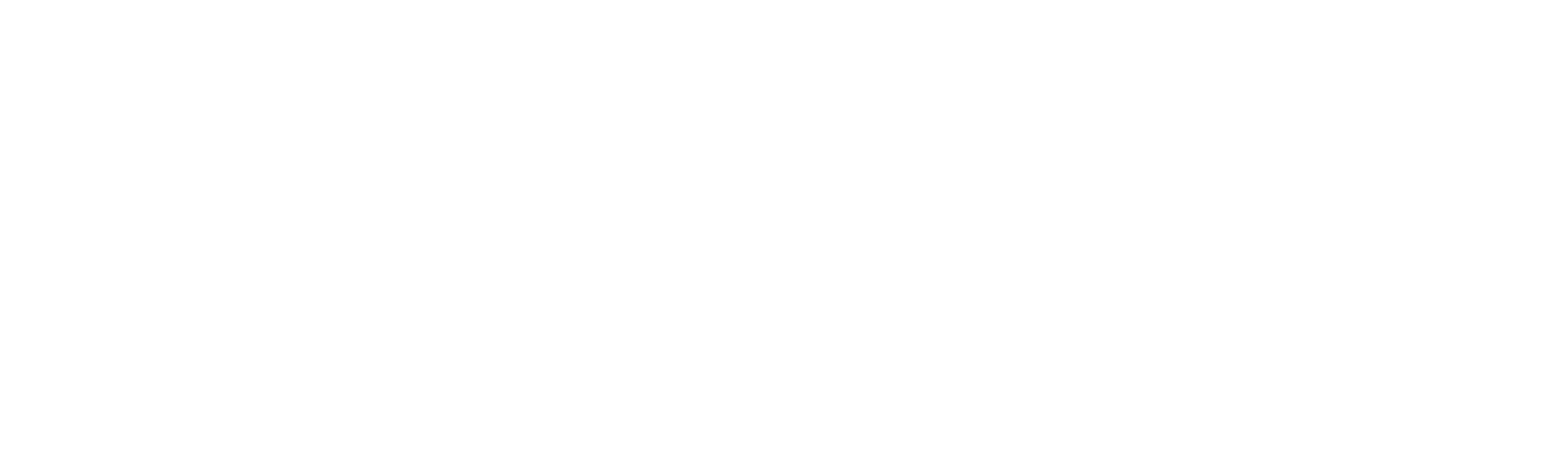 The Nocturnal Affair