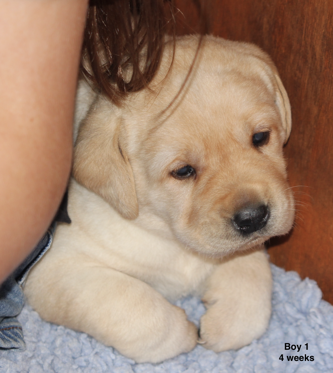 Boy 1 4 weeks