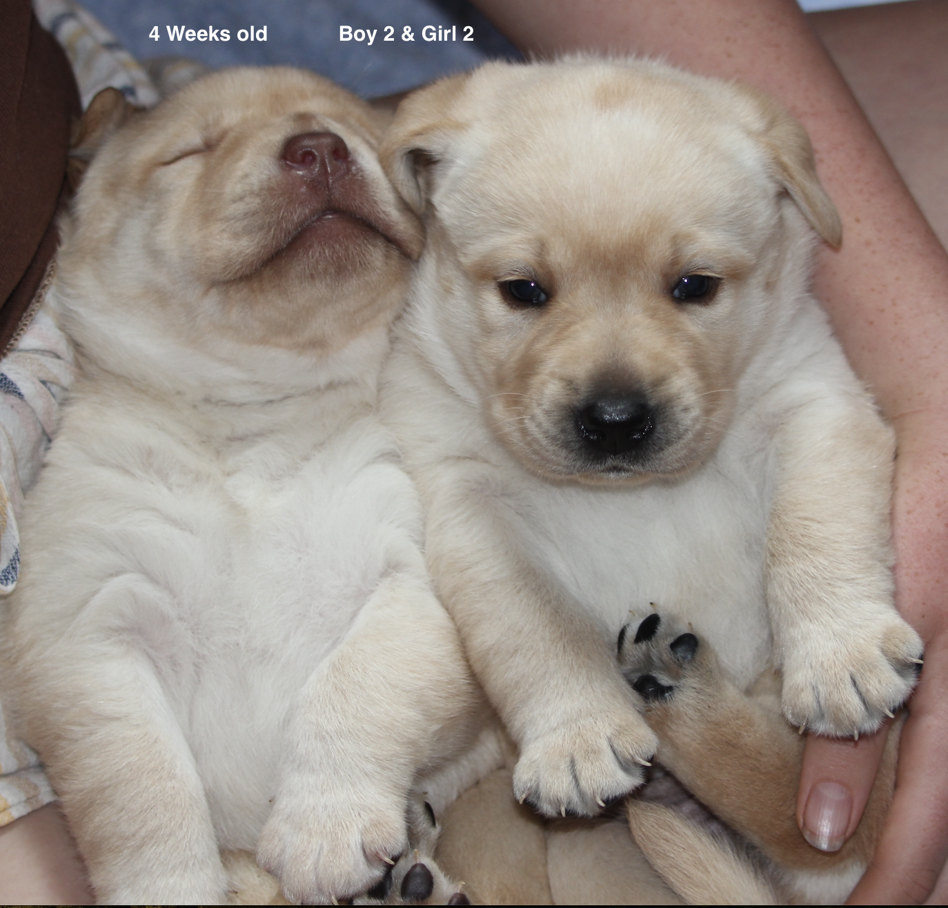 Boy 2 & Girl 2  4 weeks