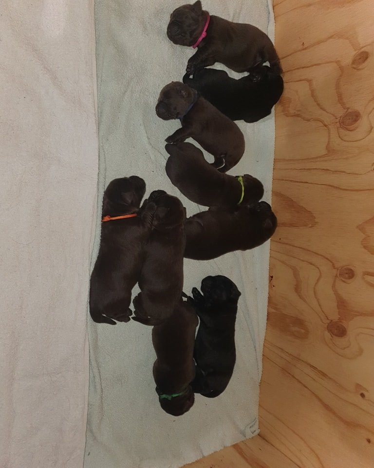 one week old