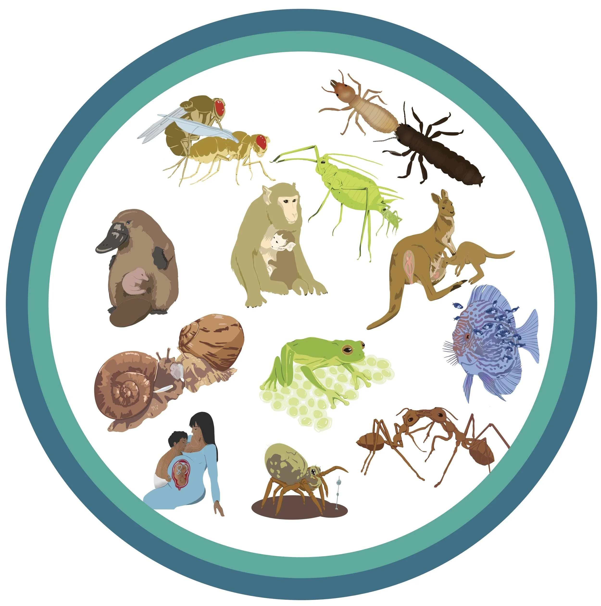 Symposium in ESEB2025, Barcelona