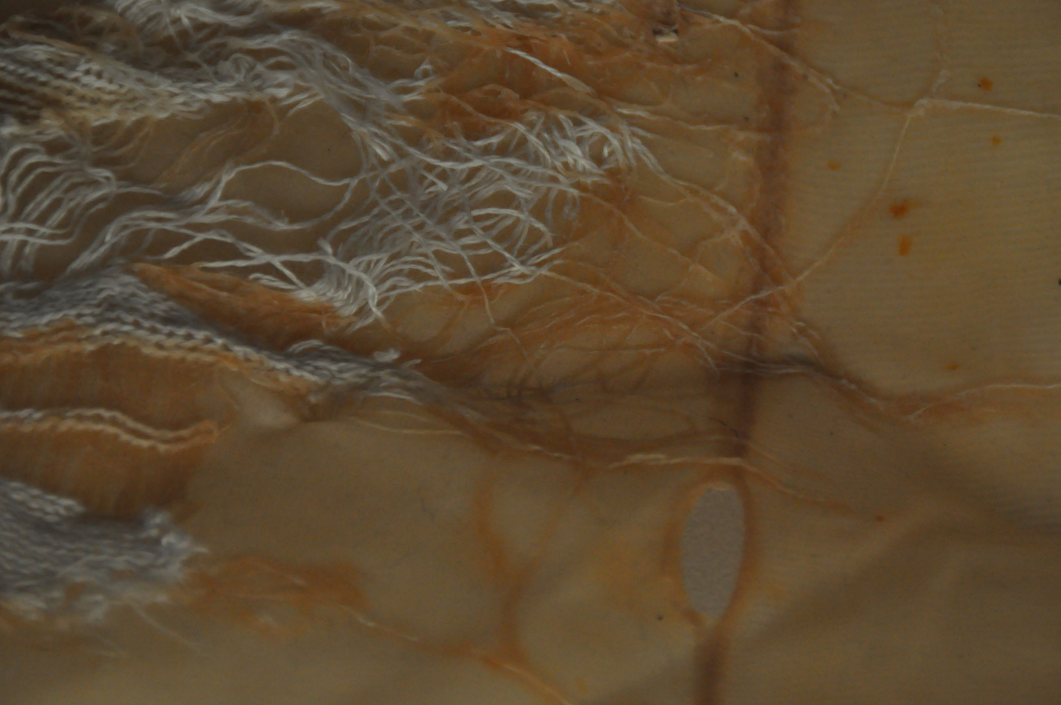 New A Fisherman’s jersey