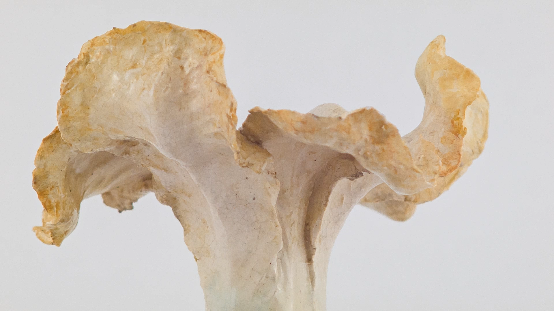 ceramic-in-motion_s2e7.00_00_07_11.Still1424.png