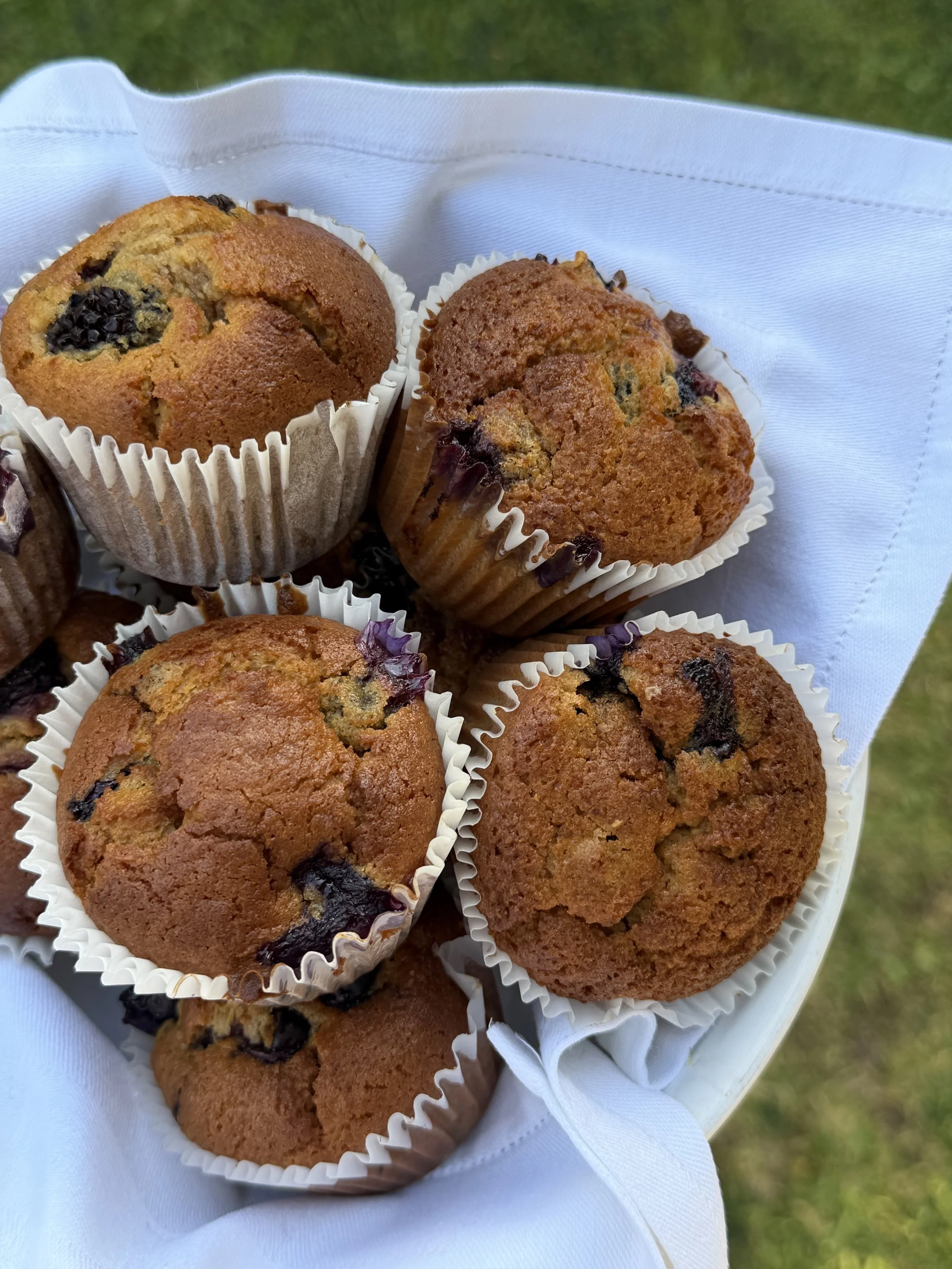 Blueberry Muffins