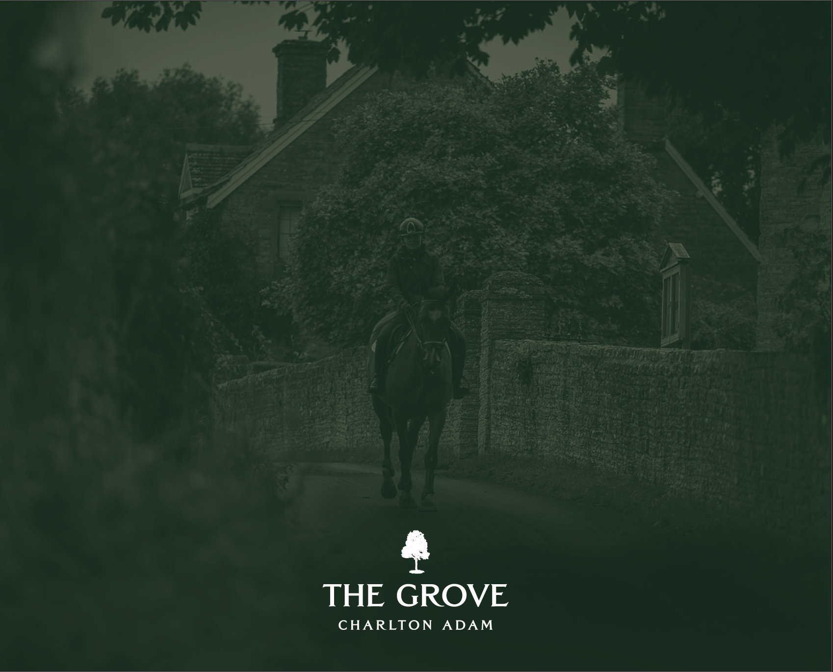 Brochure Launch - Christmas Eve