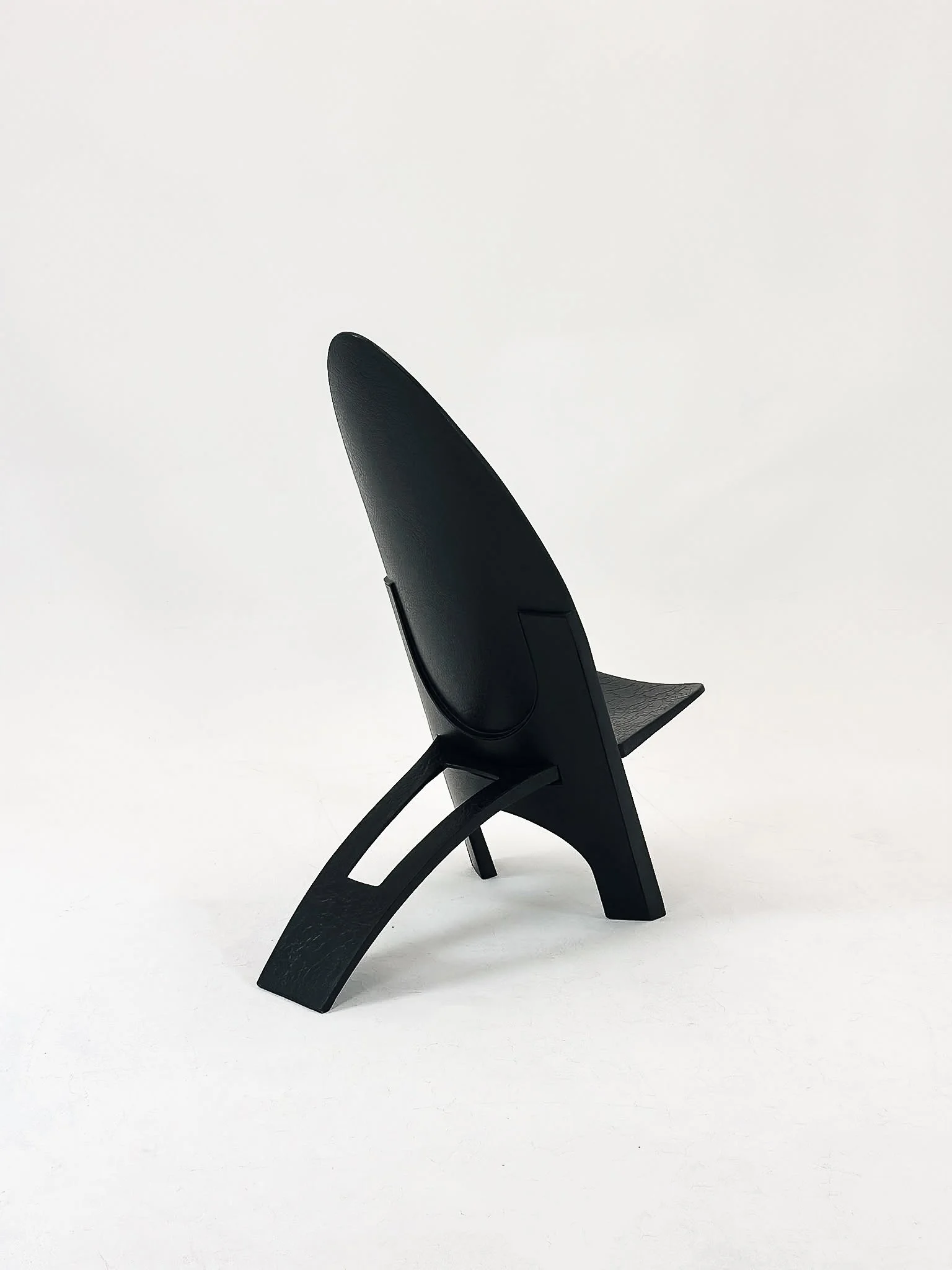 Dr. B. Schwarz_ Demury Design#62.jpg