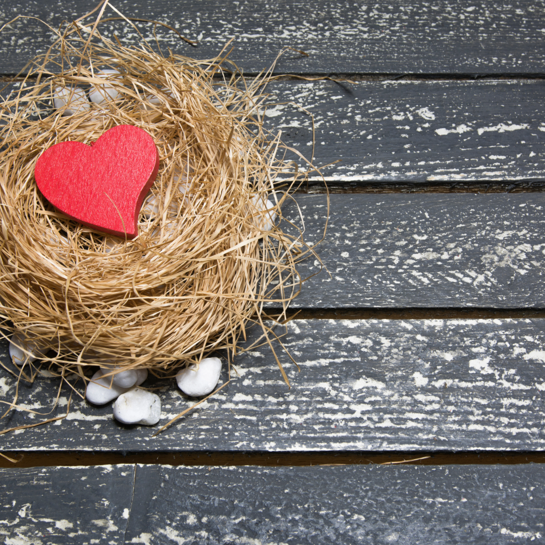 Embracing Change: Navigating Midlife, Menopause &amp; Empty Nest Syndrome