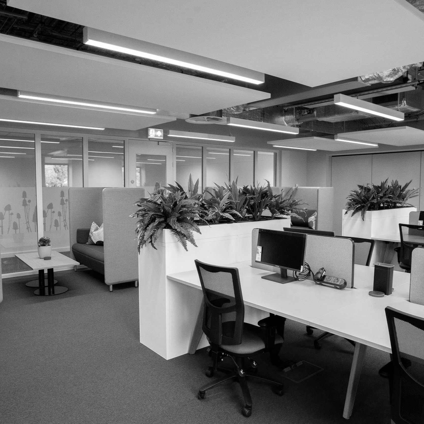 Pro+2+Room+Photo.jpg