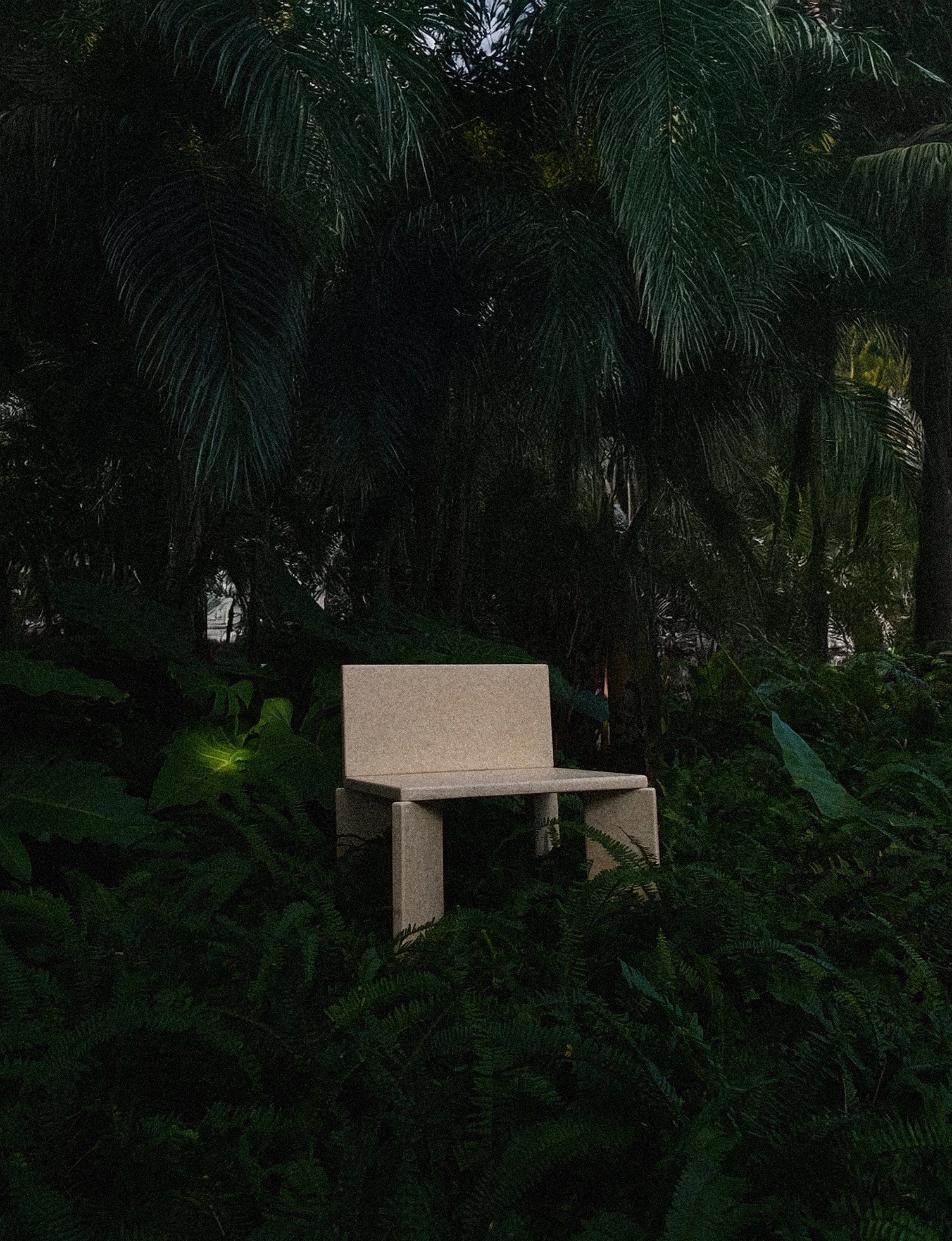 A beige bench amidst lush jungle greenery with large broad leaves and dense foliage.