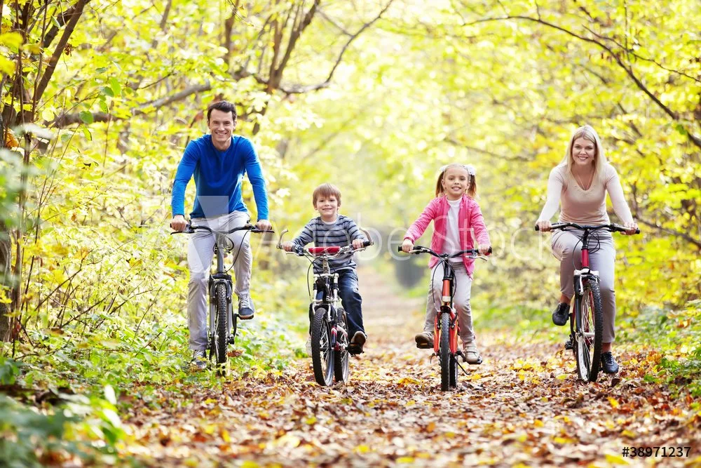 Three Powerful Phrases That Will Transform Your Home