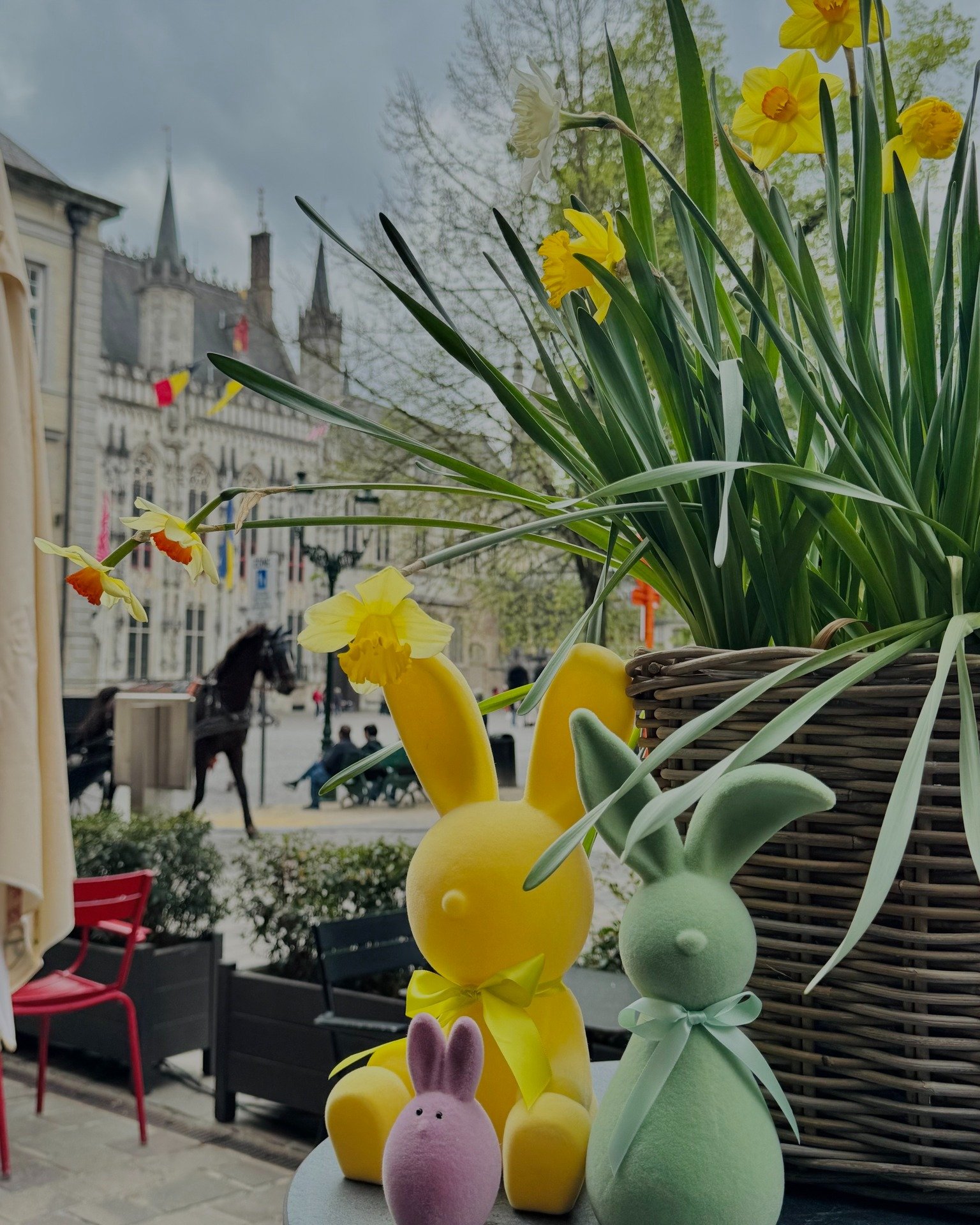 De lente (en Pasen!) is in het PlazaCaf&eacute; gearriveerd 🌷🐣

Vanaf 4 april verwen je jezelf met:
✨ Rundskroketje met duxelles van champignons &amp; gebakken chorizo
✨ Mechelse koekoekfilet met groene asperges, trostomaatjes &amp; rode wijnsaus
✨