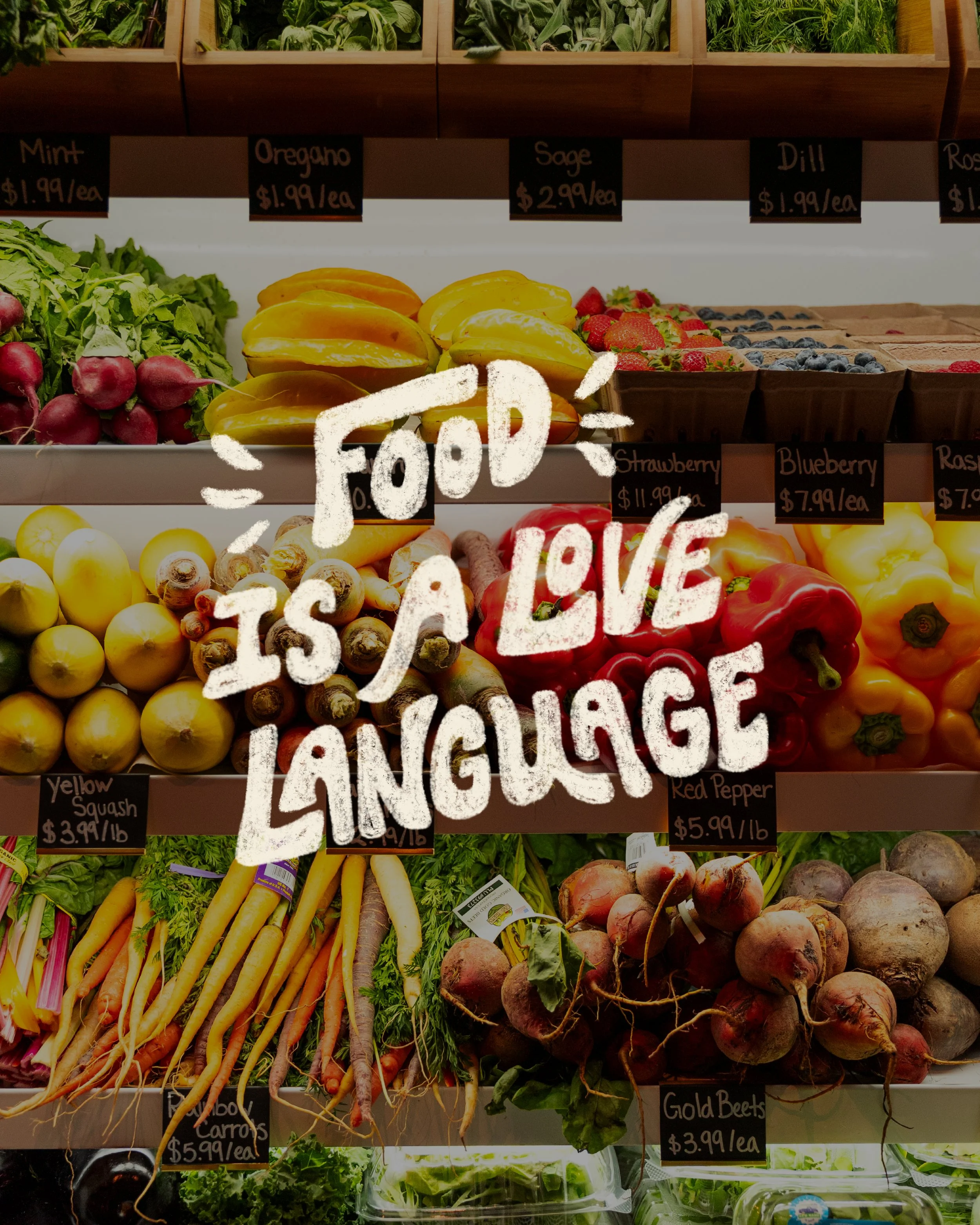 26-SOCIAL-GROCER-ILLUSTRATIONS_4.jpg