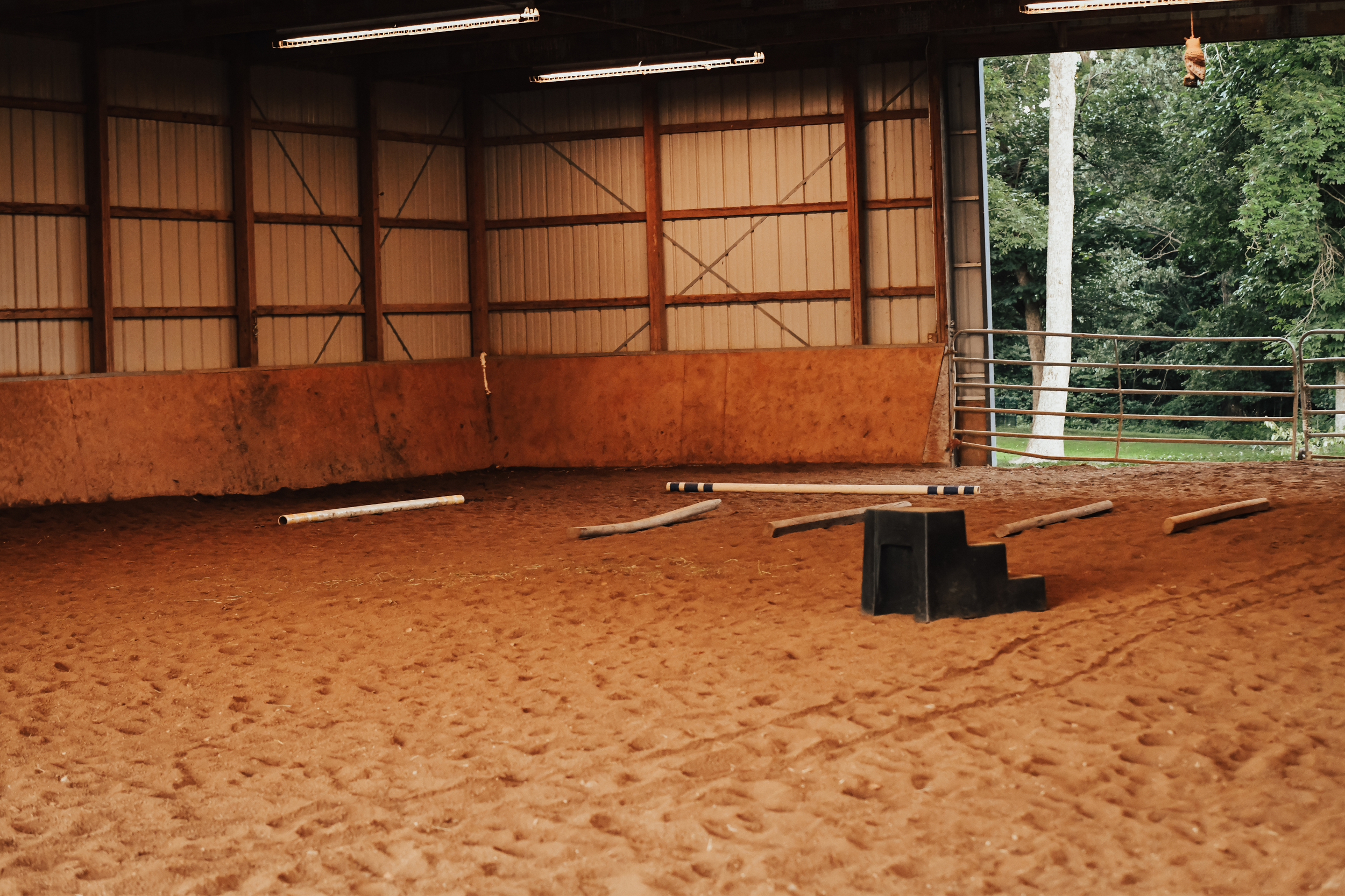 Horsemanship Lesson