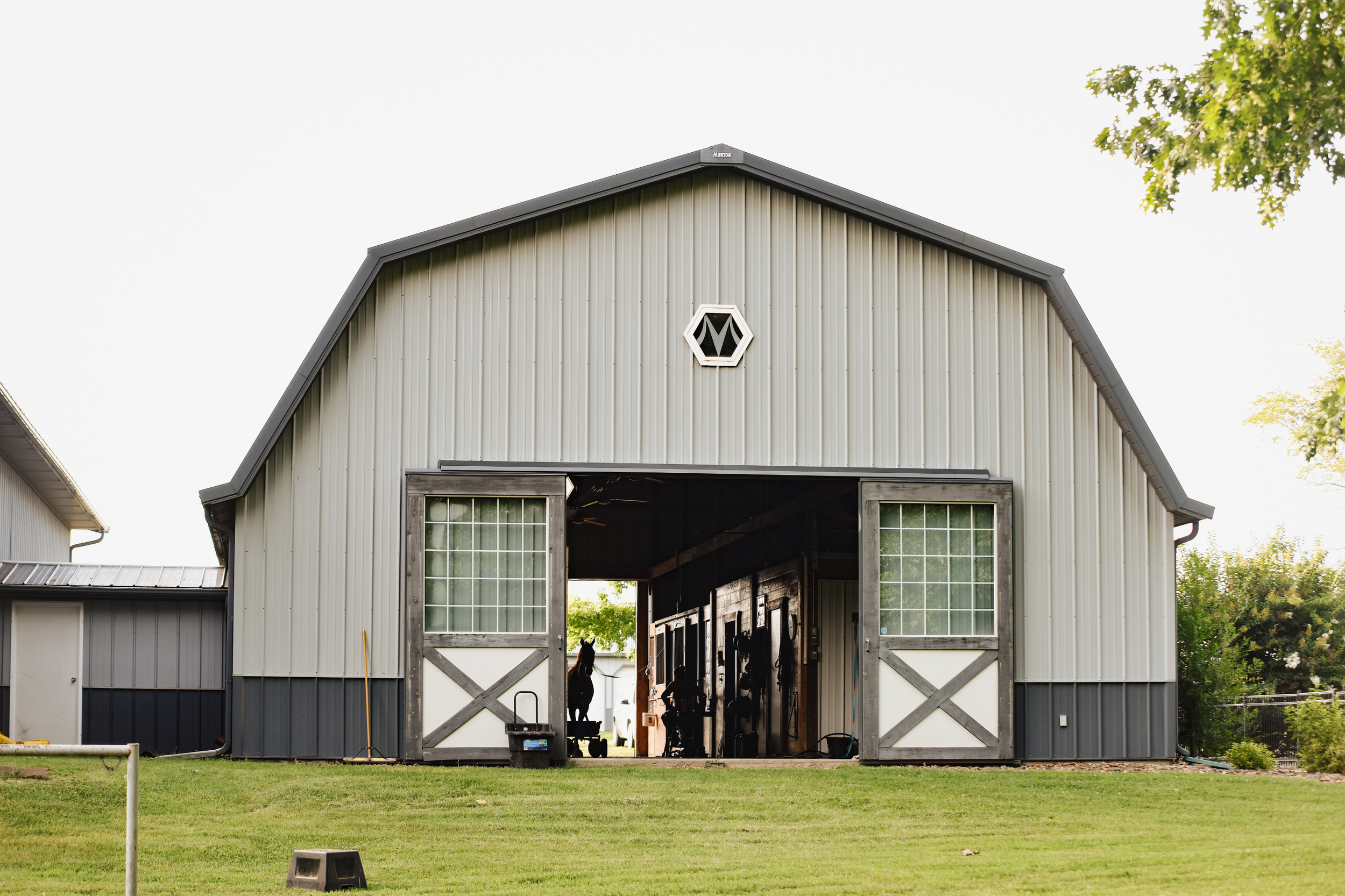 Pasture Boarding