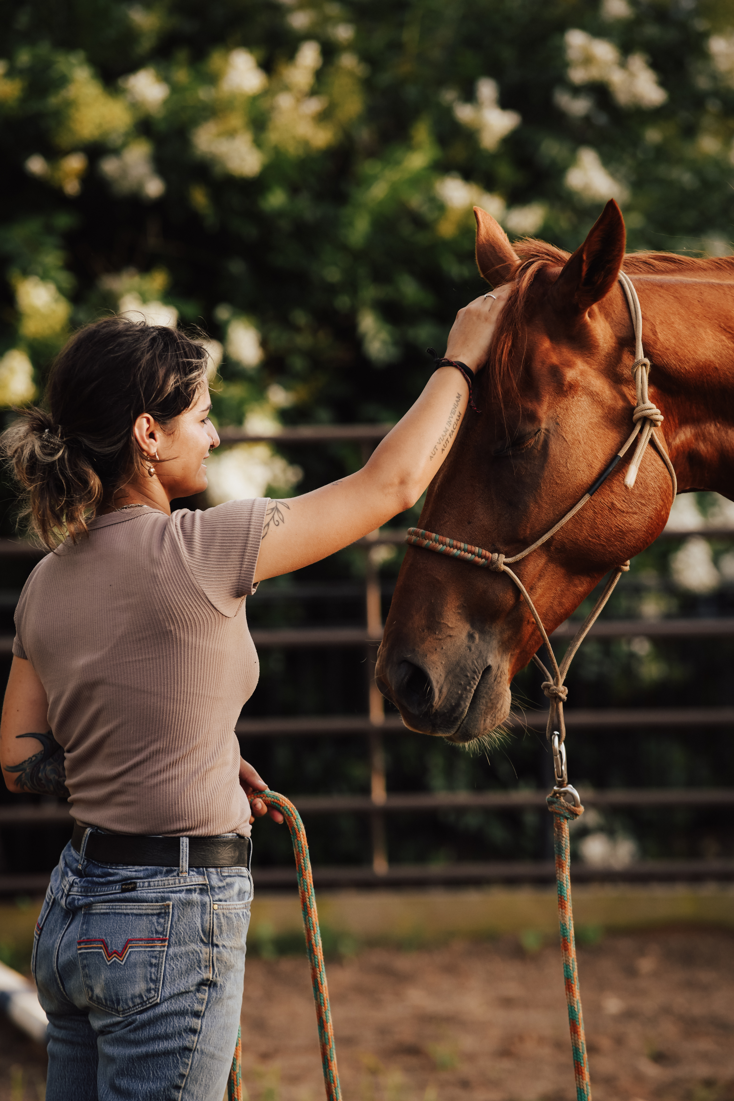 Training & Colt Starting