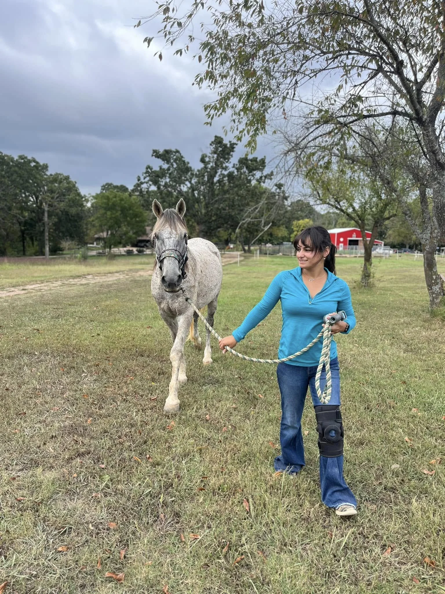 Pasture Boarding