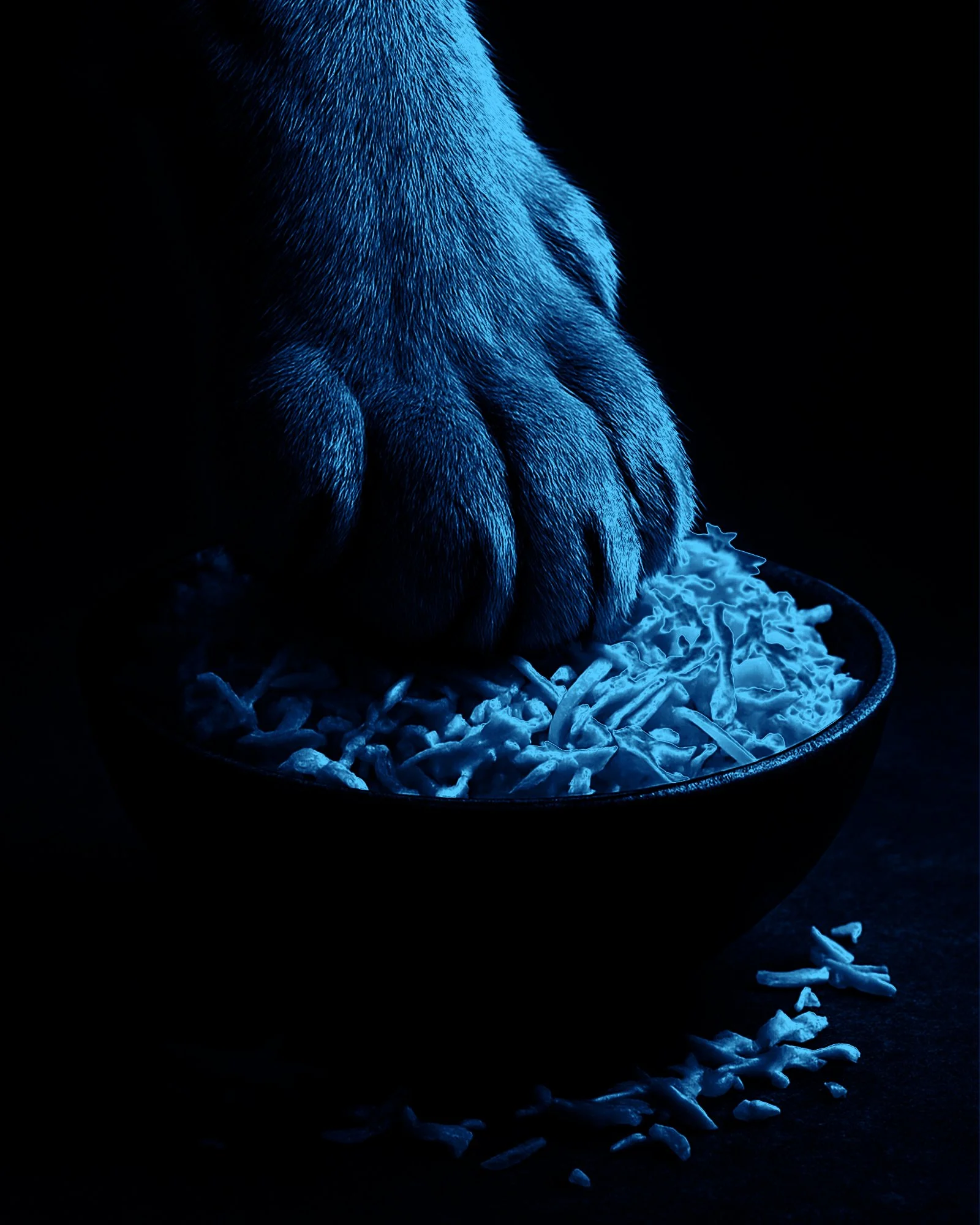 paw in slaw.jpg