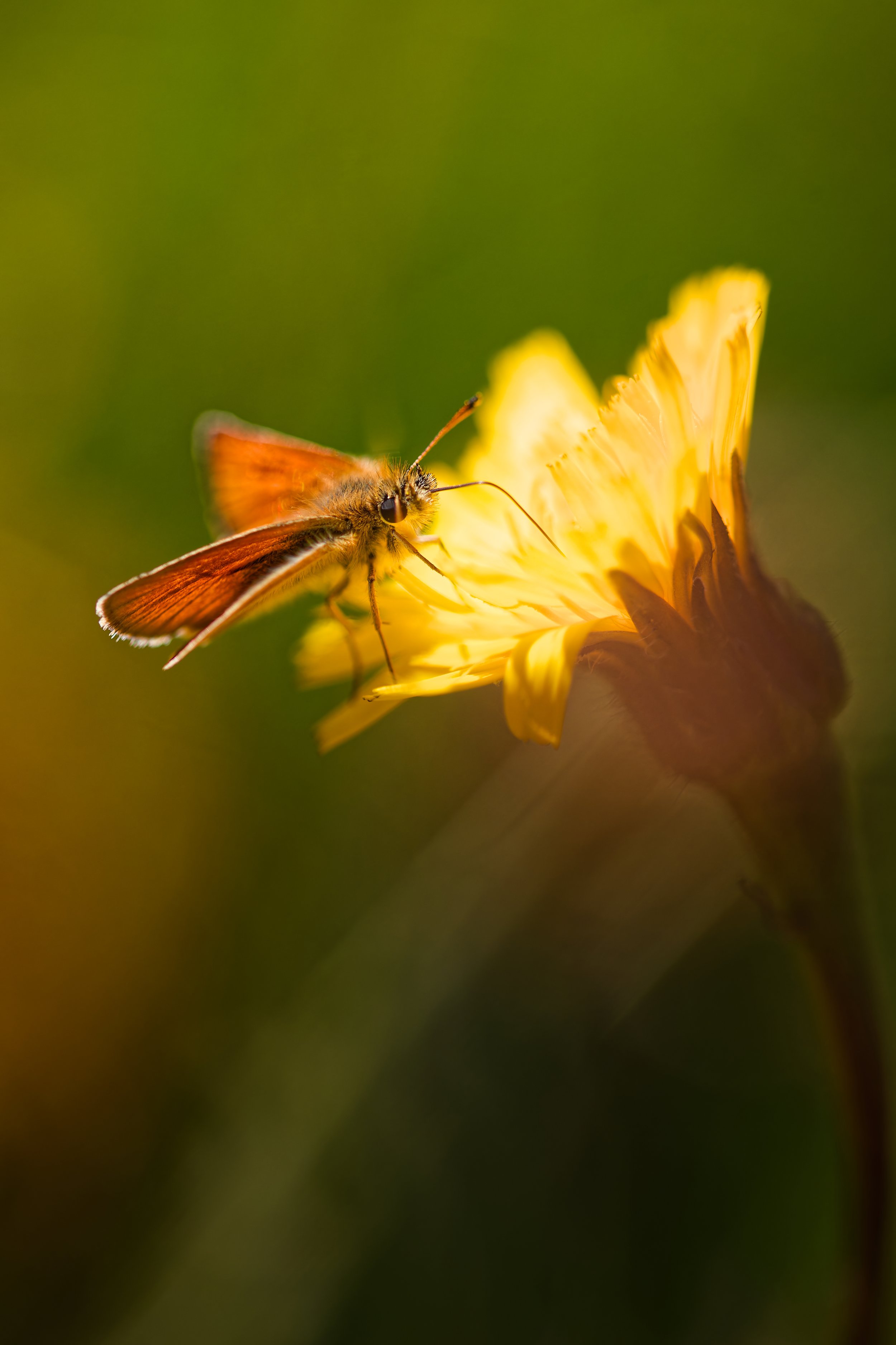 3W8A6499_DxO=.jpg