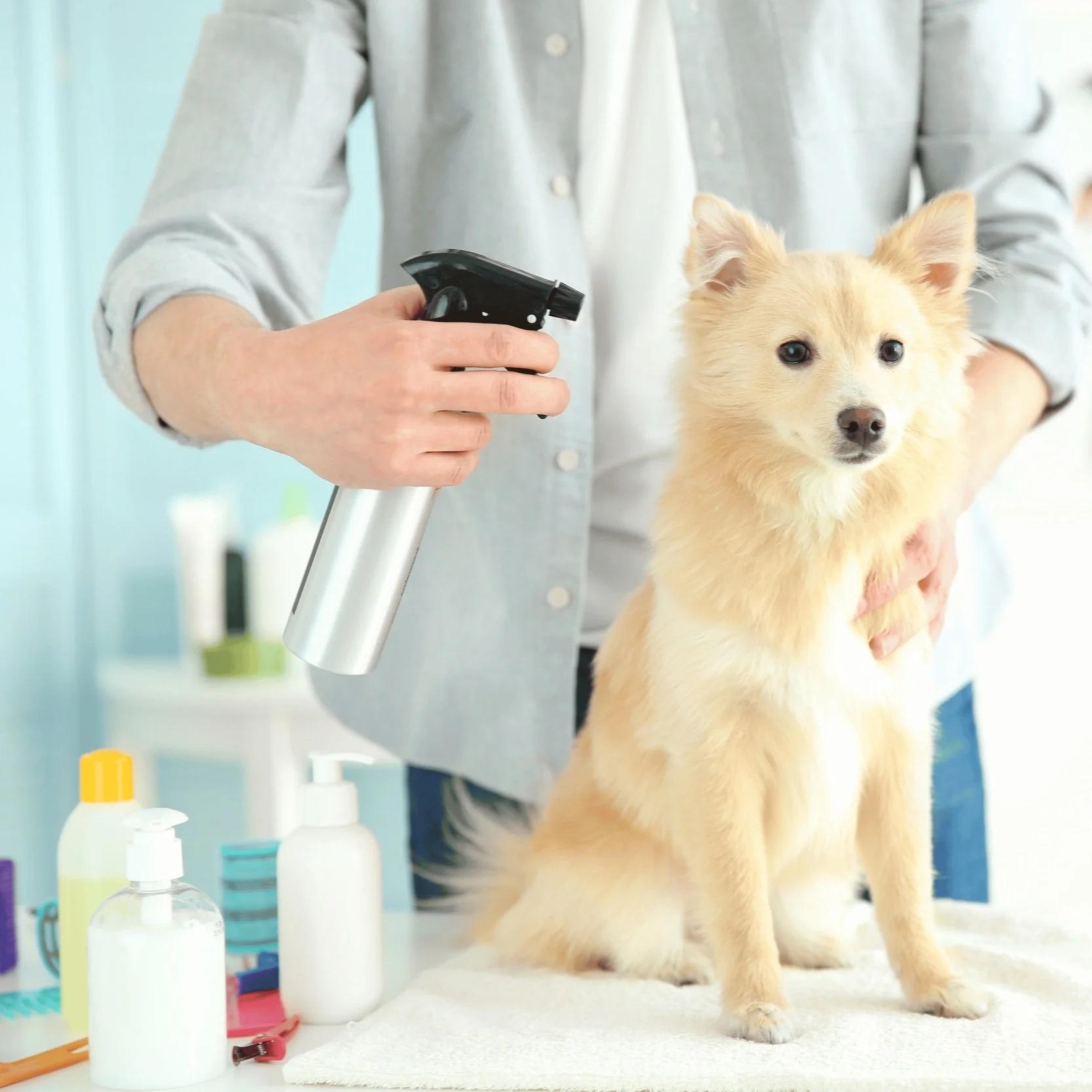 natural dog products.jpg