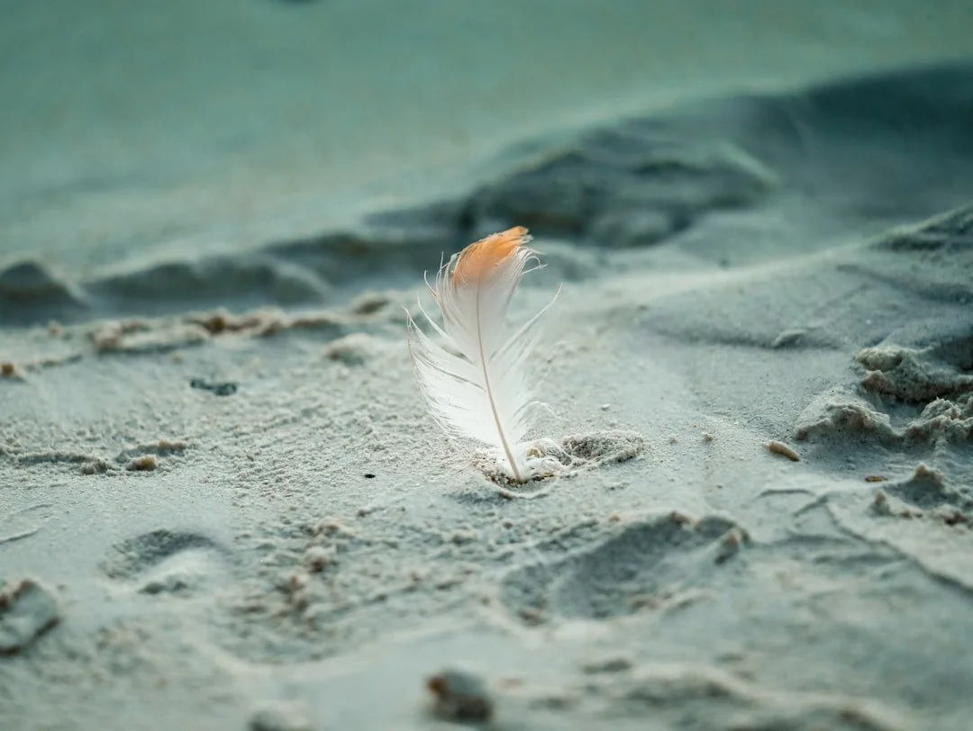 The Other Half of Trauma Recovery