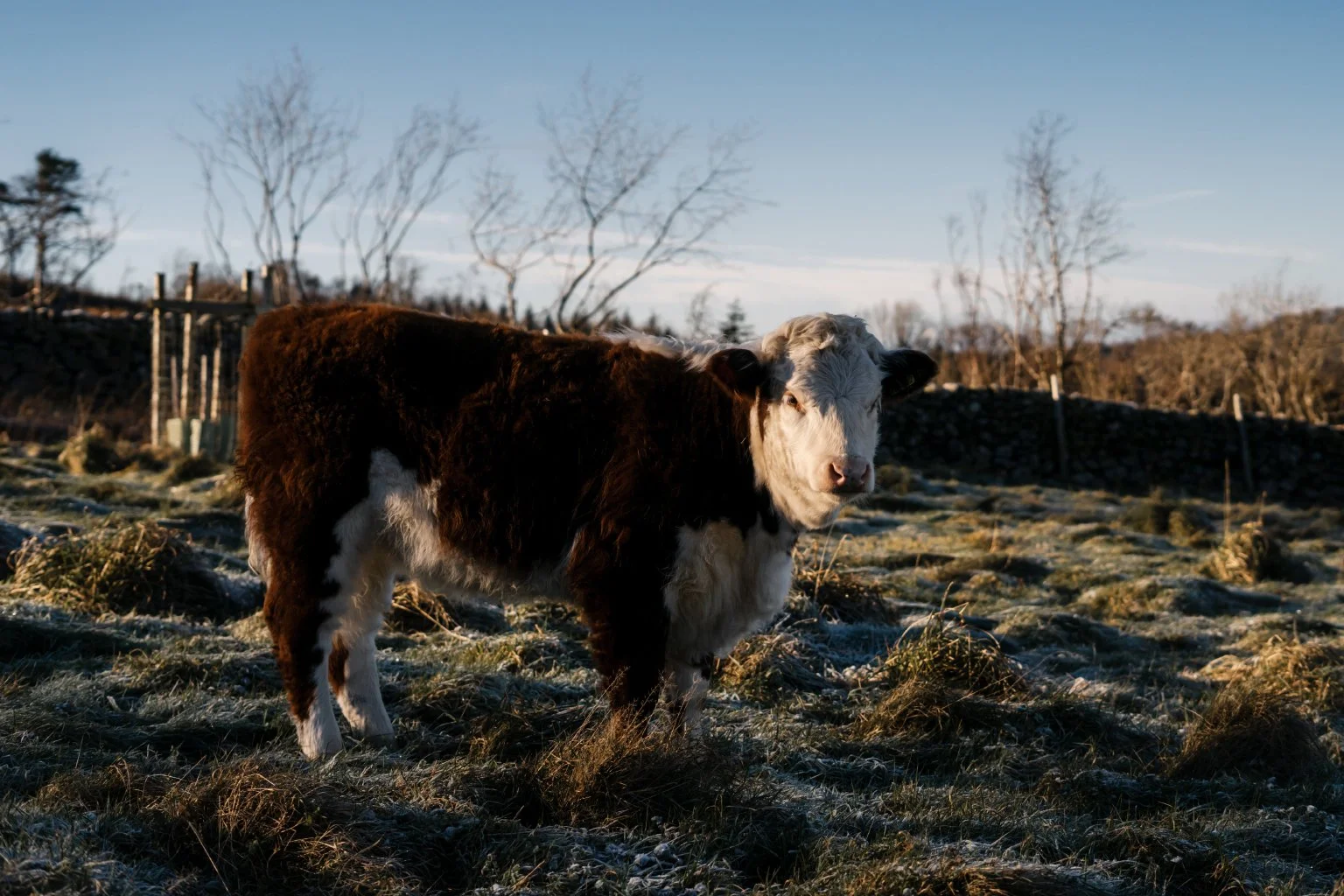 Cragg_Farm_Lo_Res_Landscape_20.jpg