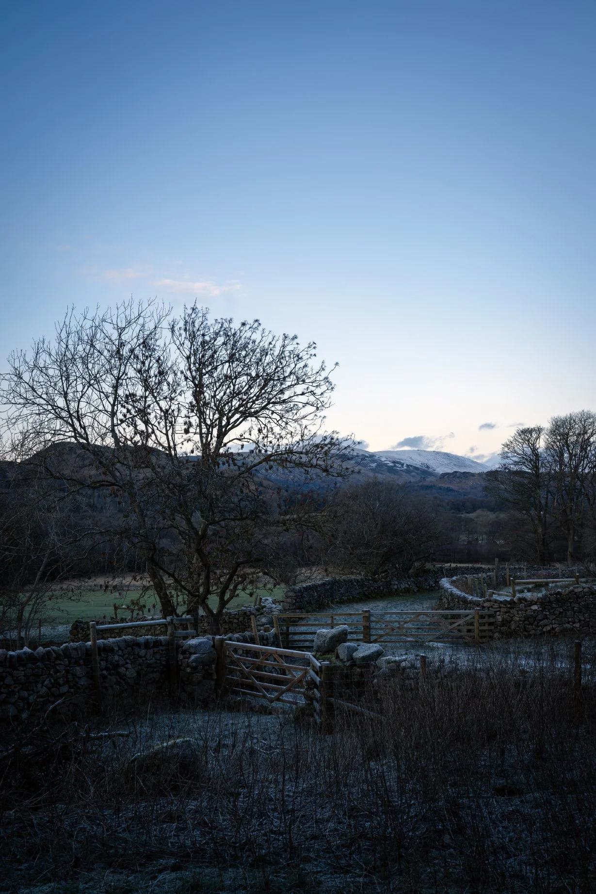 Cragg_Farm_Lo_Res_Portrait_30.jpg