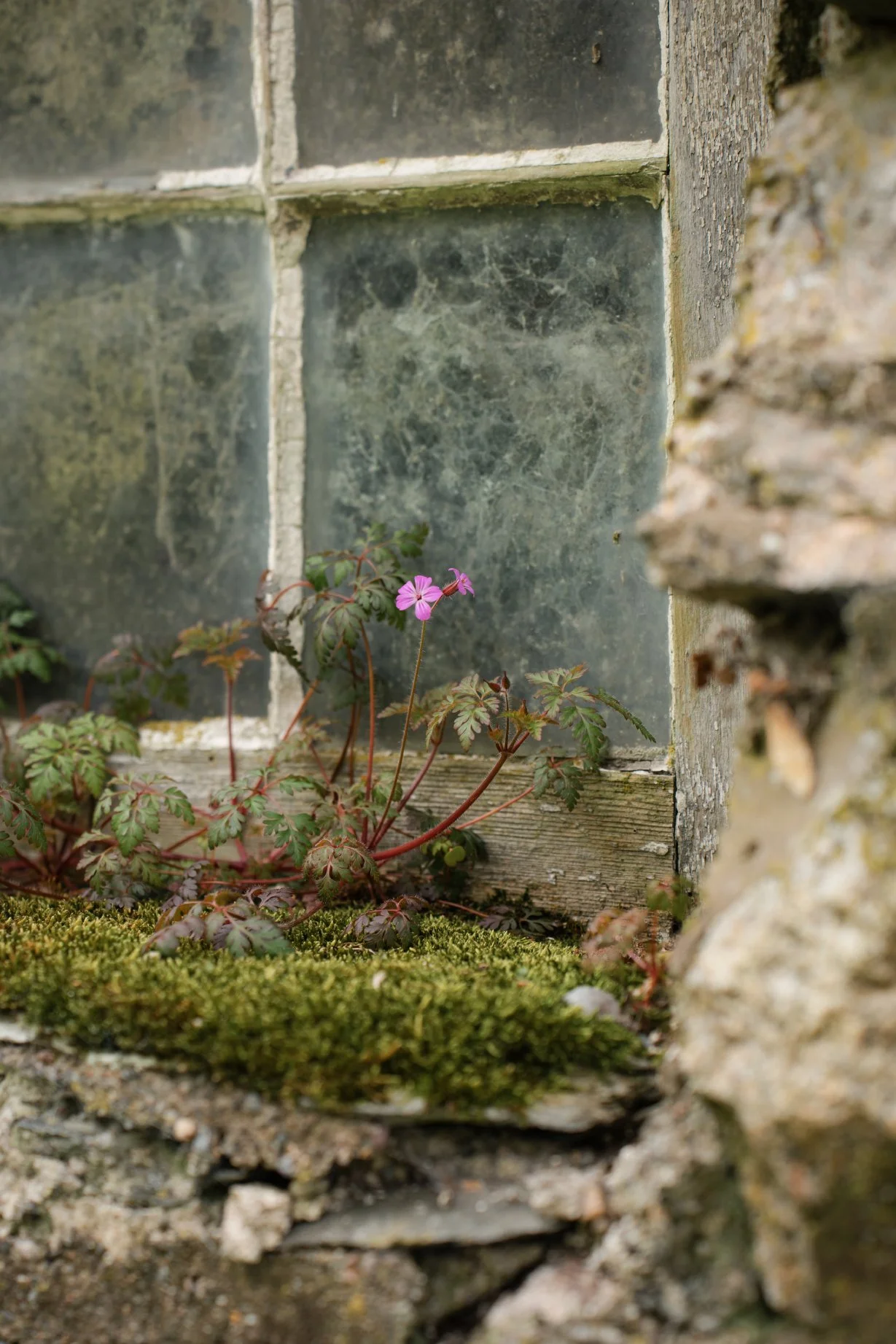 Cragg_Farm_Lo_Res_Portrait_6.jpg