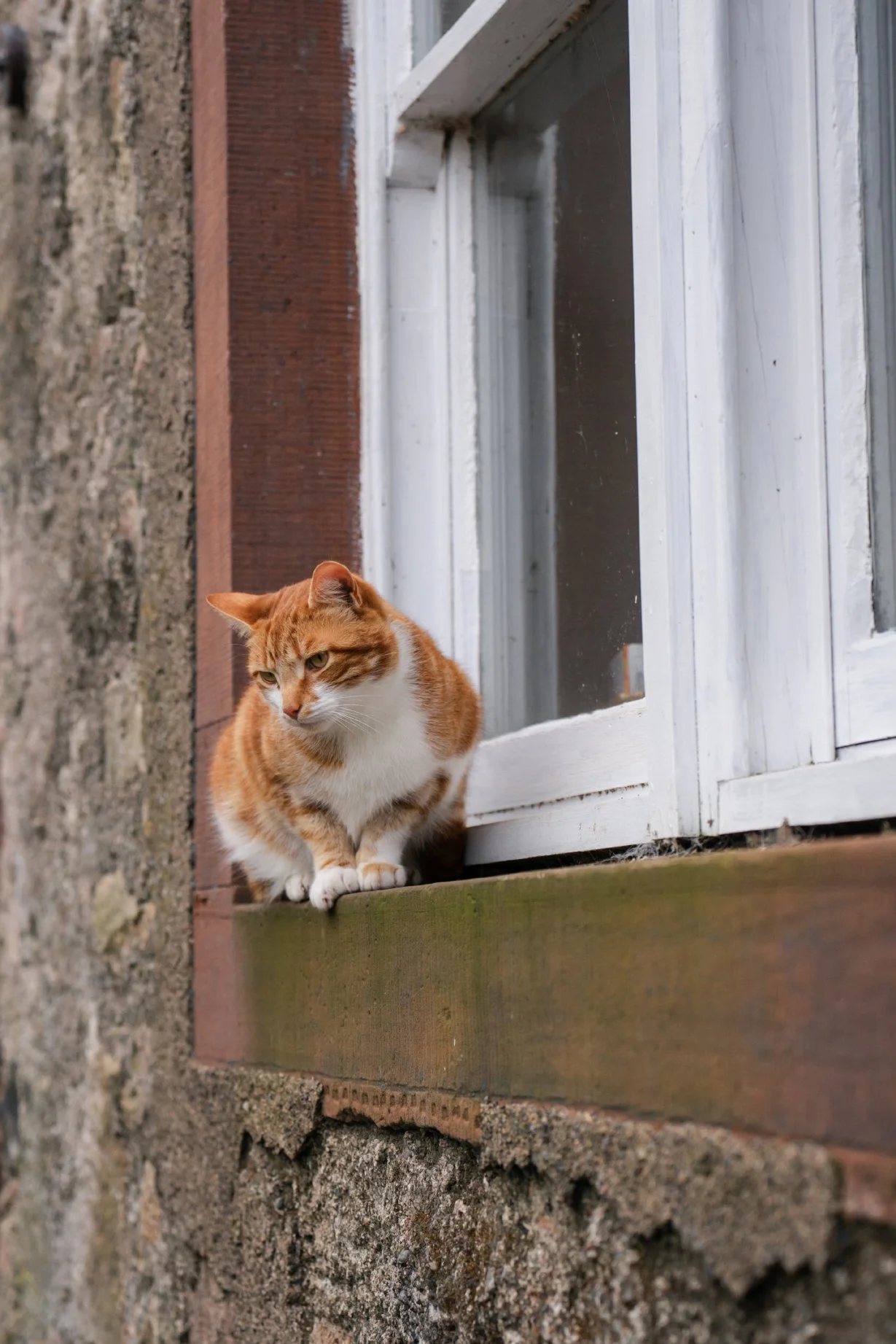 Cragg_Farm_Lo_Res_Portrait_18.jpg