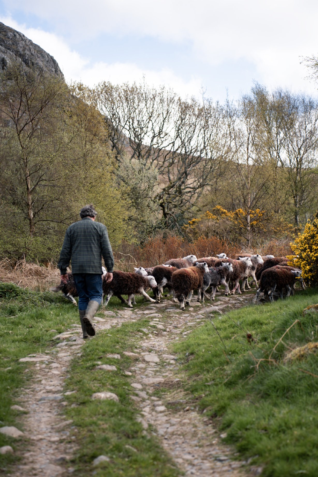 Cragg_Farm_Lo_Res_Portrait_20.jpg