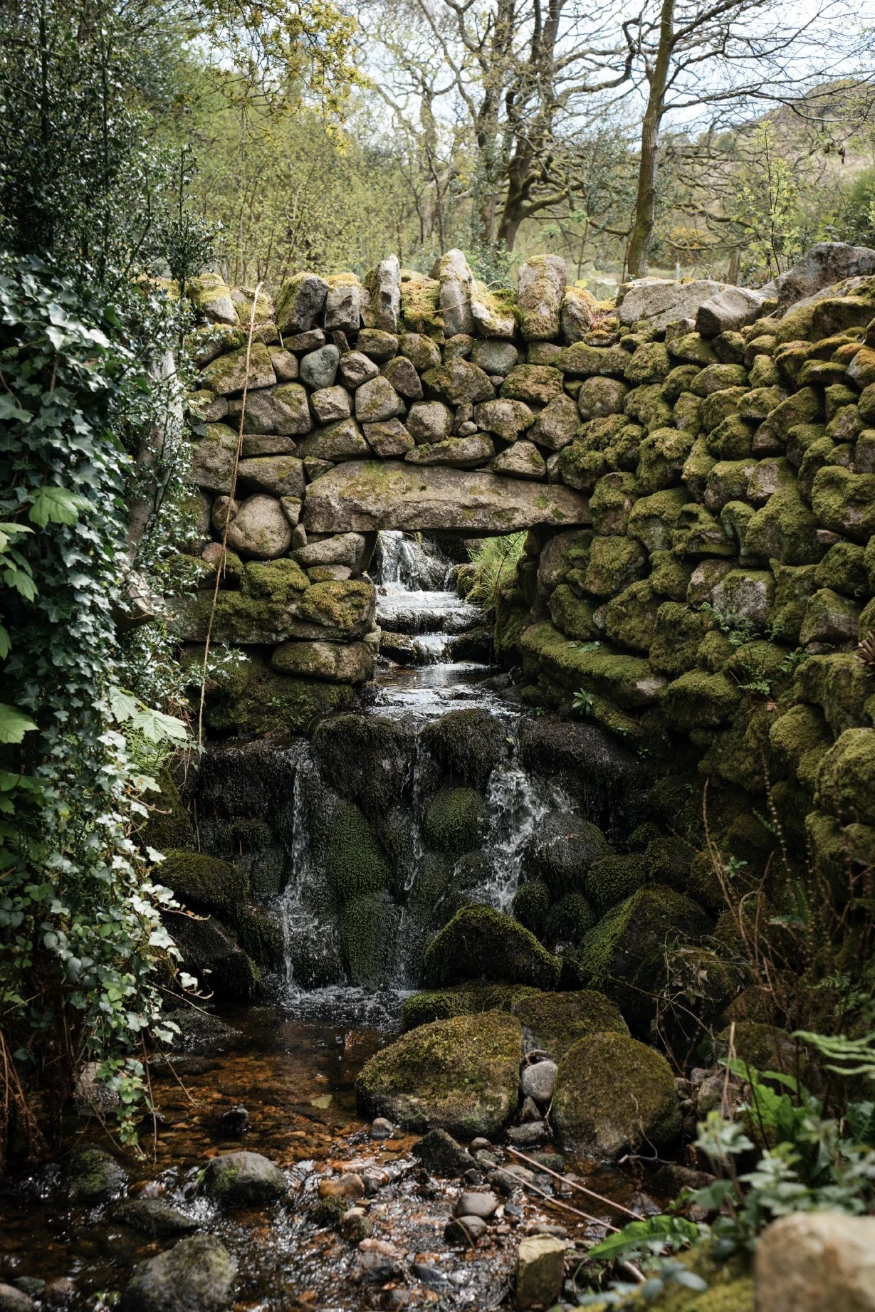 Cragg_Farm_Lo_Res_Portrait_14.jpg