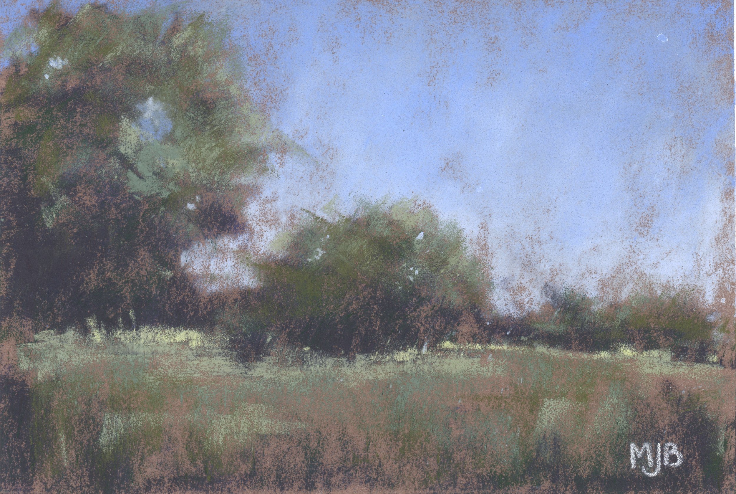 Quiet Grove of Rest - Print