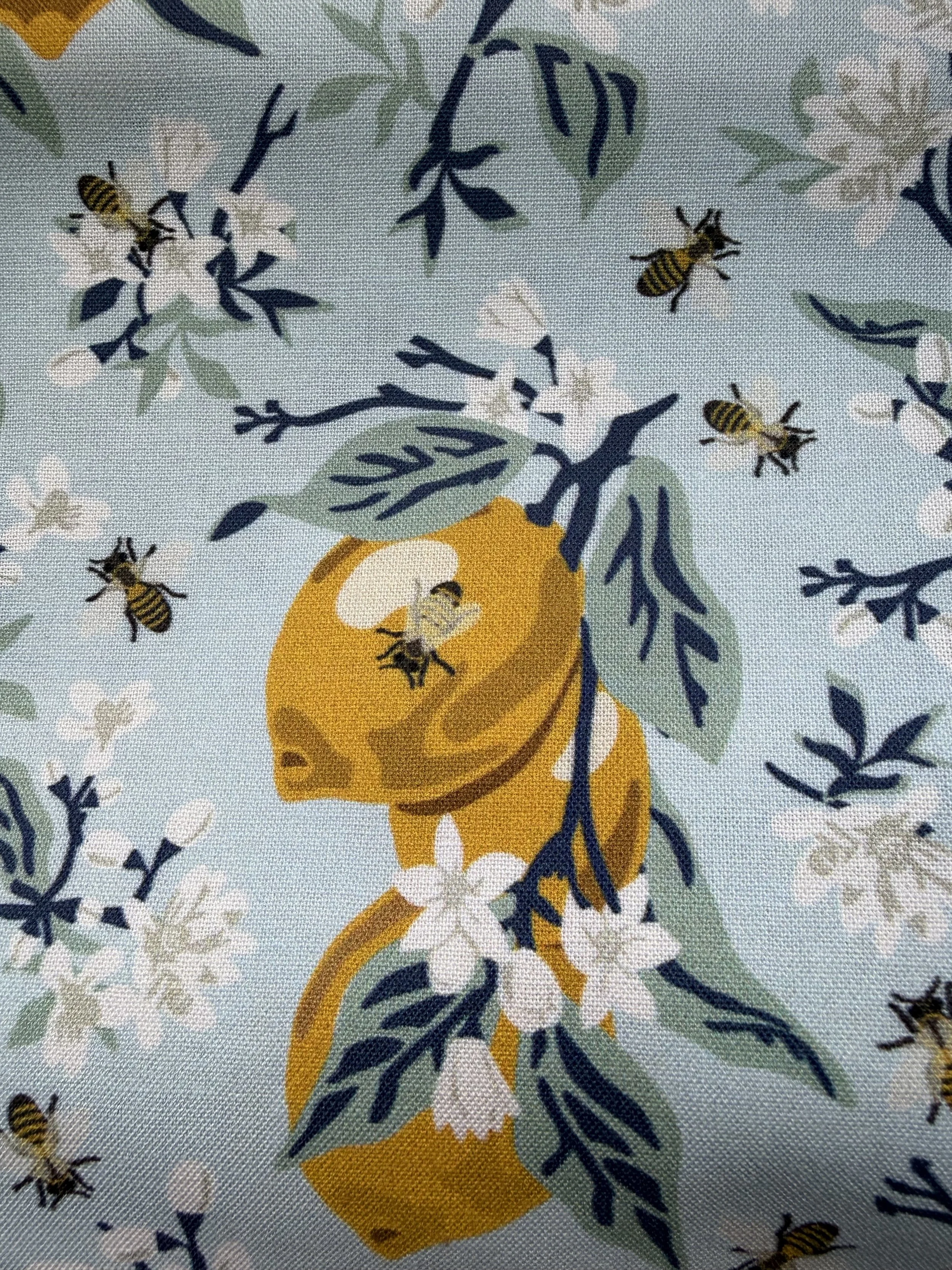 6 - Honey & Lemons.jpeg